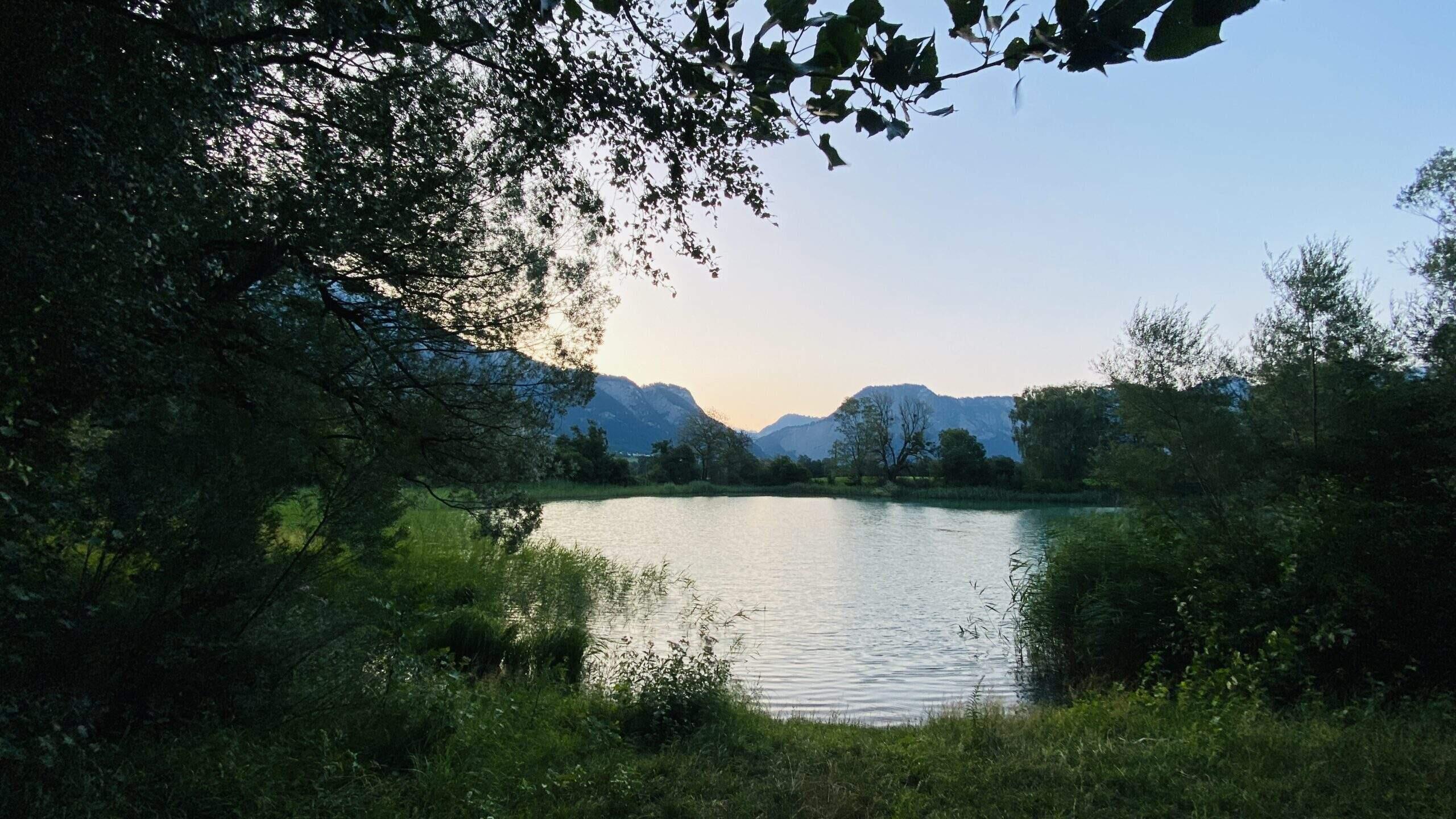 Bild ohne Beschreibung Bild ohne Beschreibung