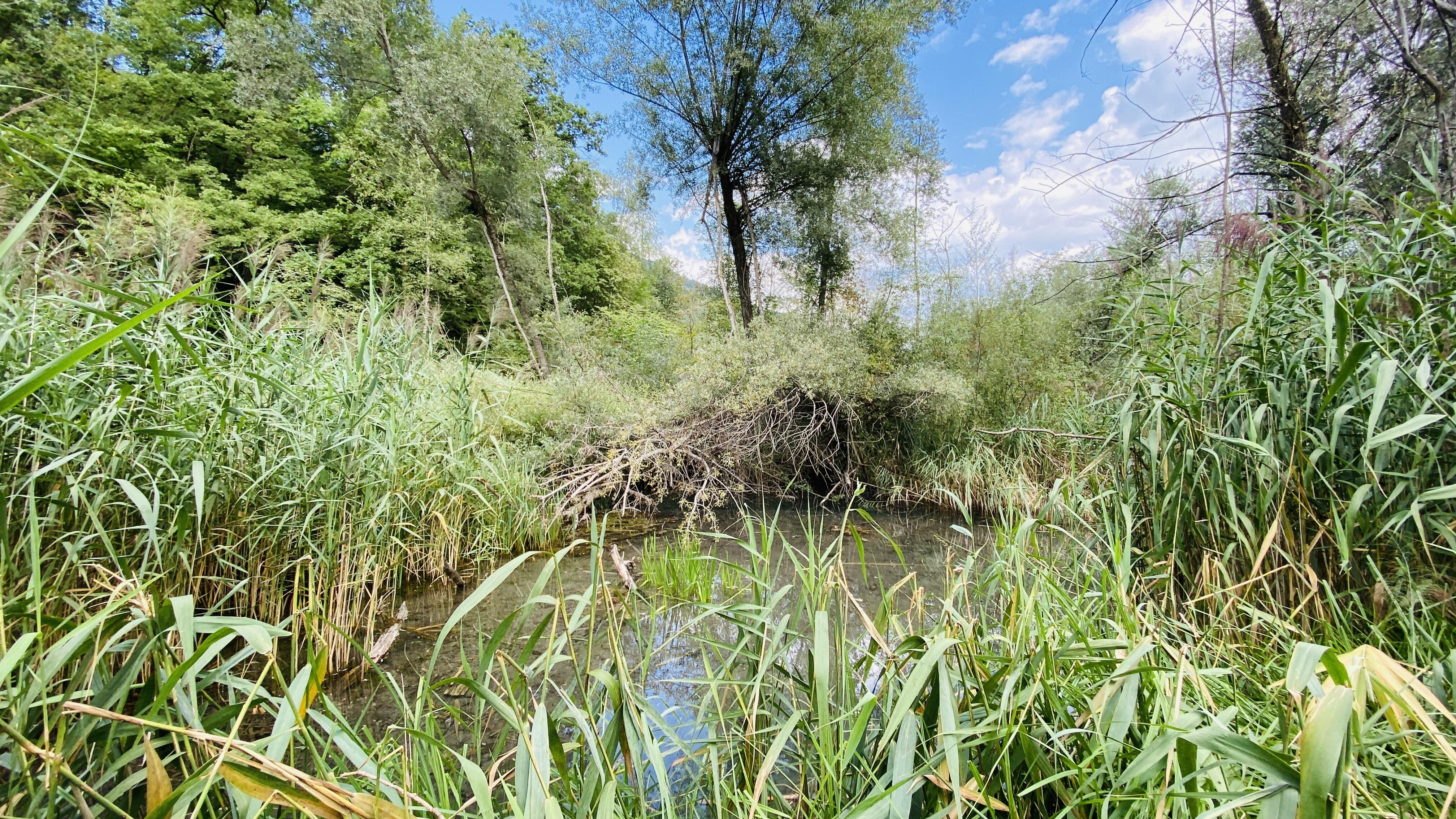 Bild ohne Beschreibung Bild ohne Beschreibung