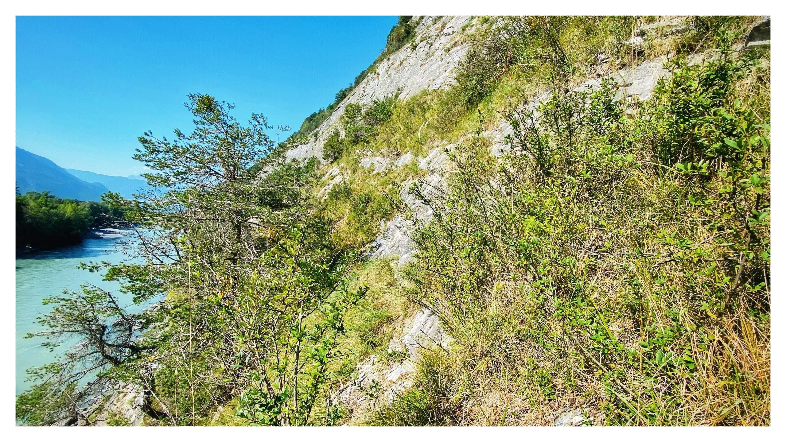 Bild ohne Beschreibung