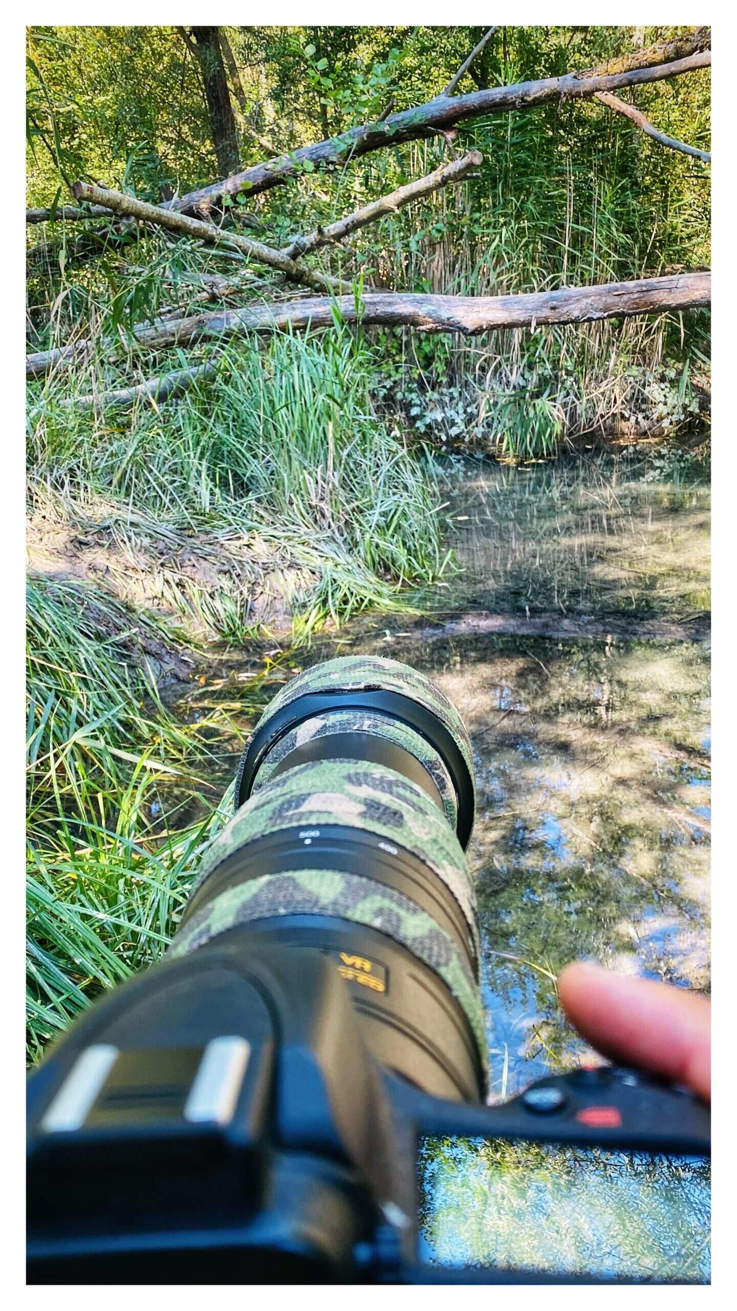 Bild ohne Beschreibung