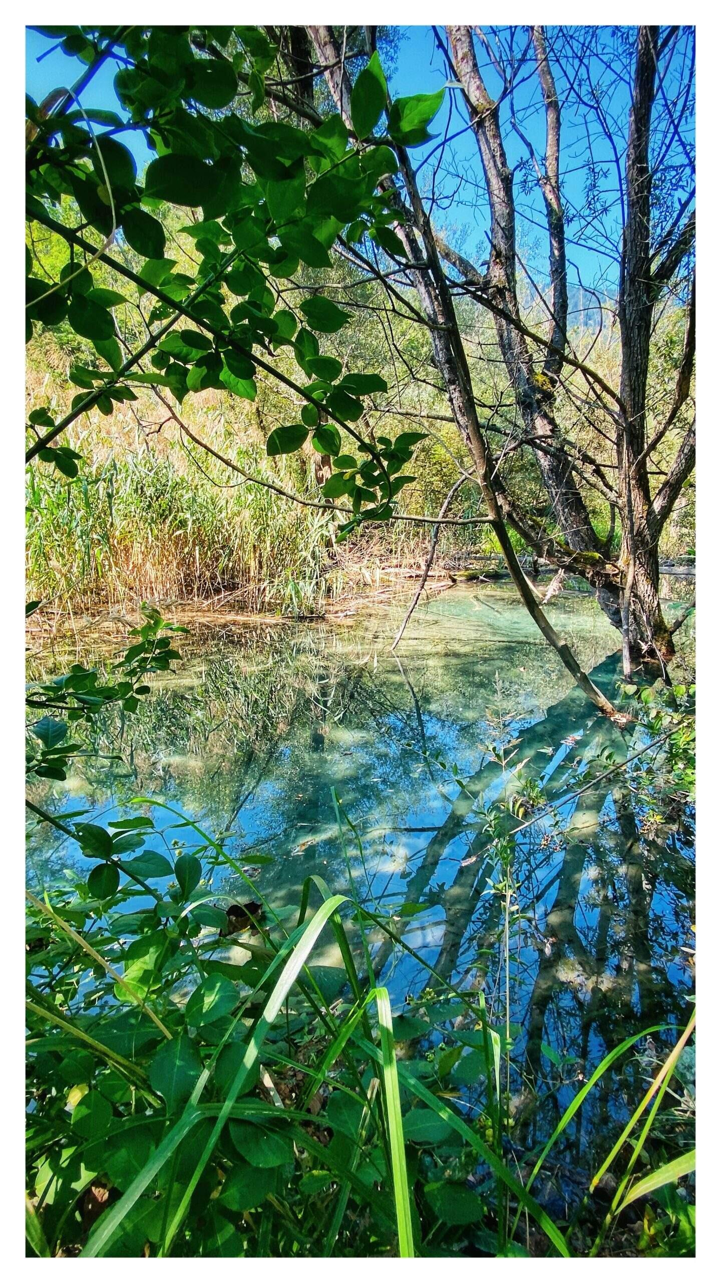 Bild ohne Beschreibung