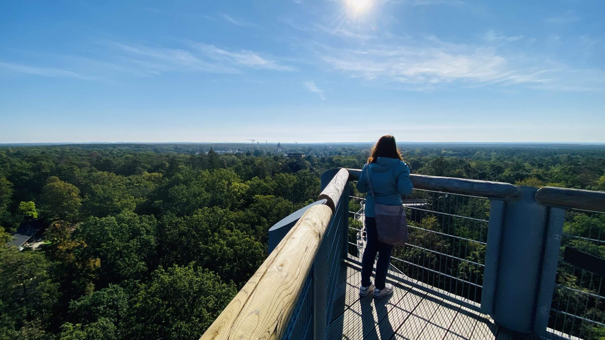 Bild ohne Beschreibung Bild ohne Beschreibung
