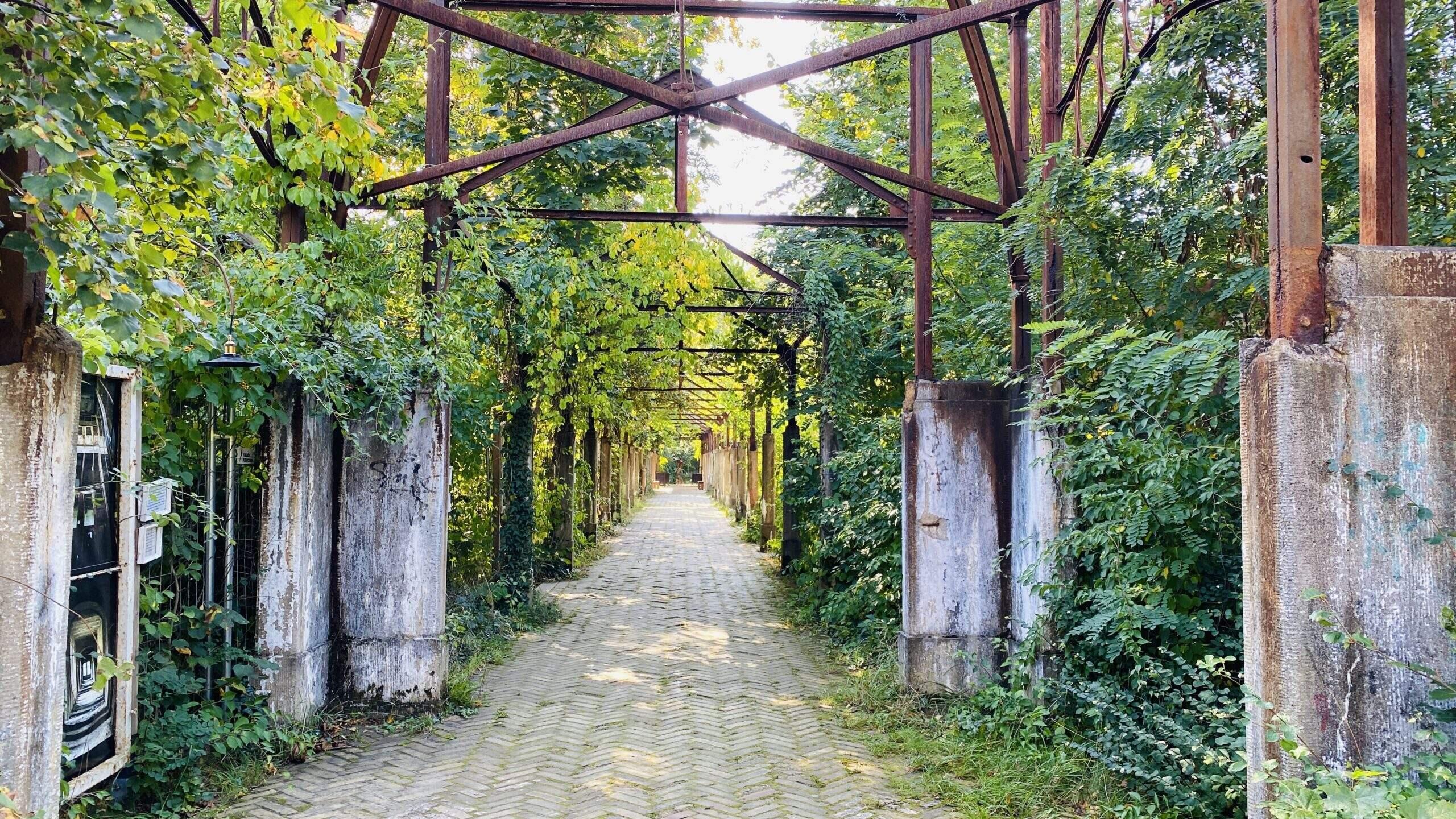 Bild ohne Beschreibung Bild ohne Beschreibung