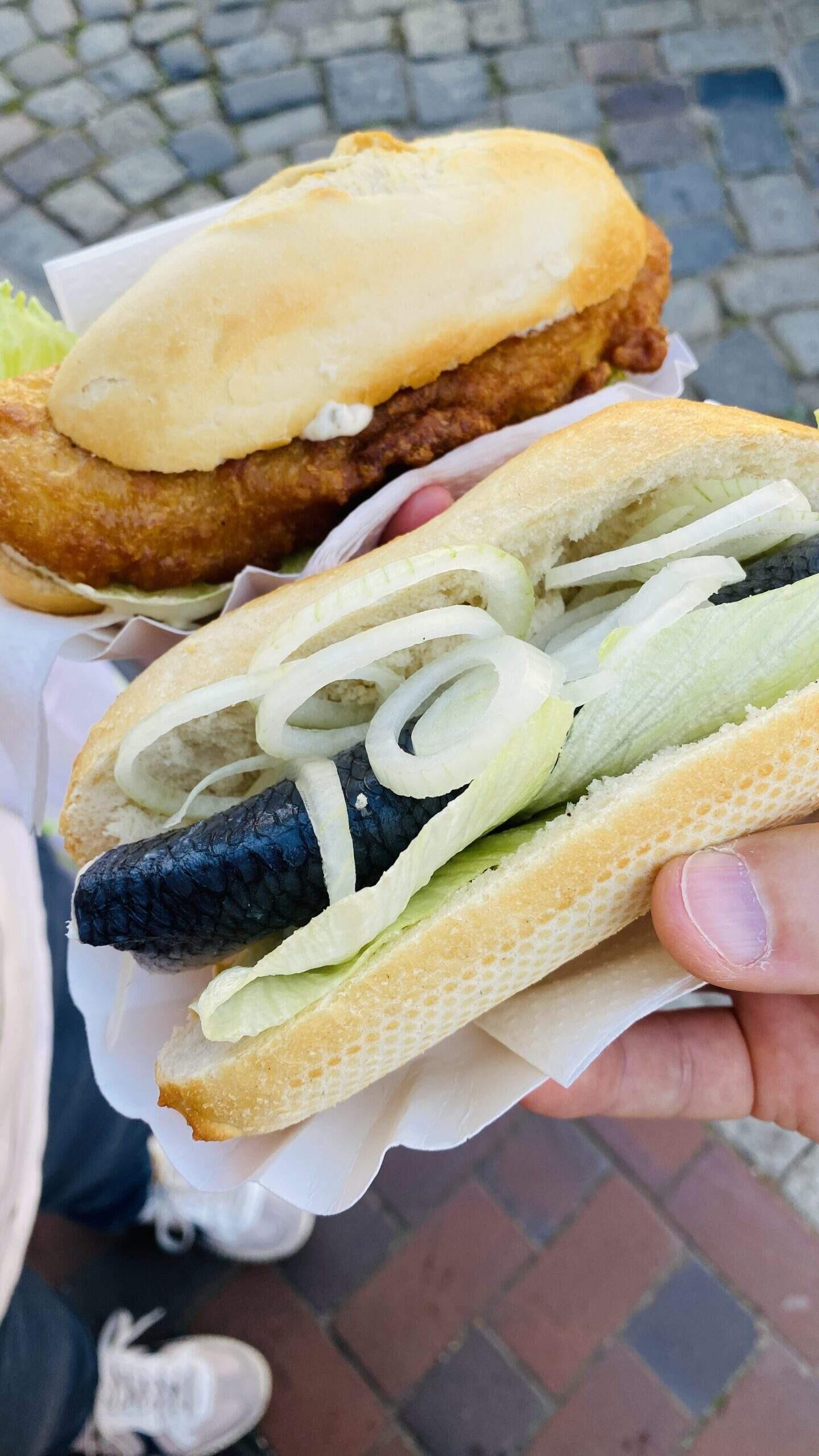 Bild ohne Beschreibung Bild ohne Beschreibung