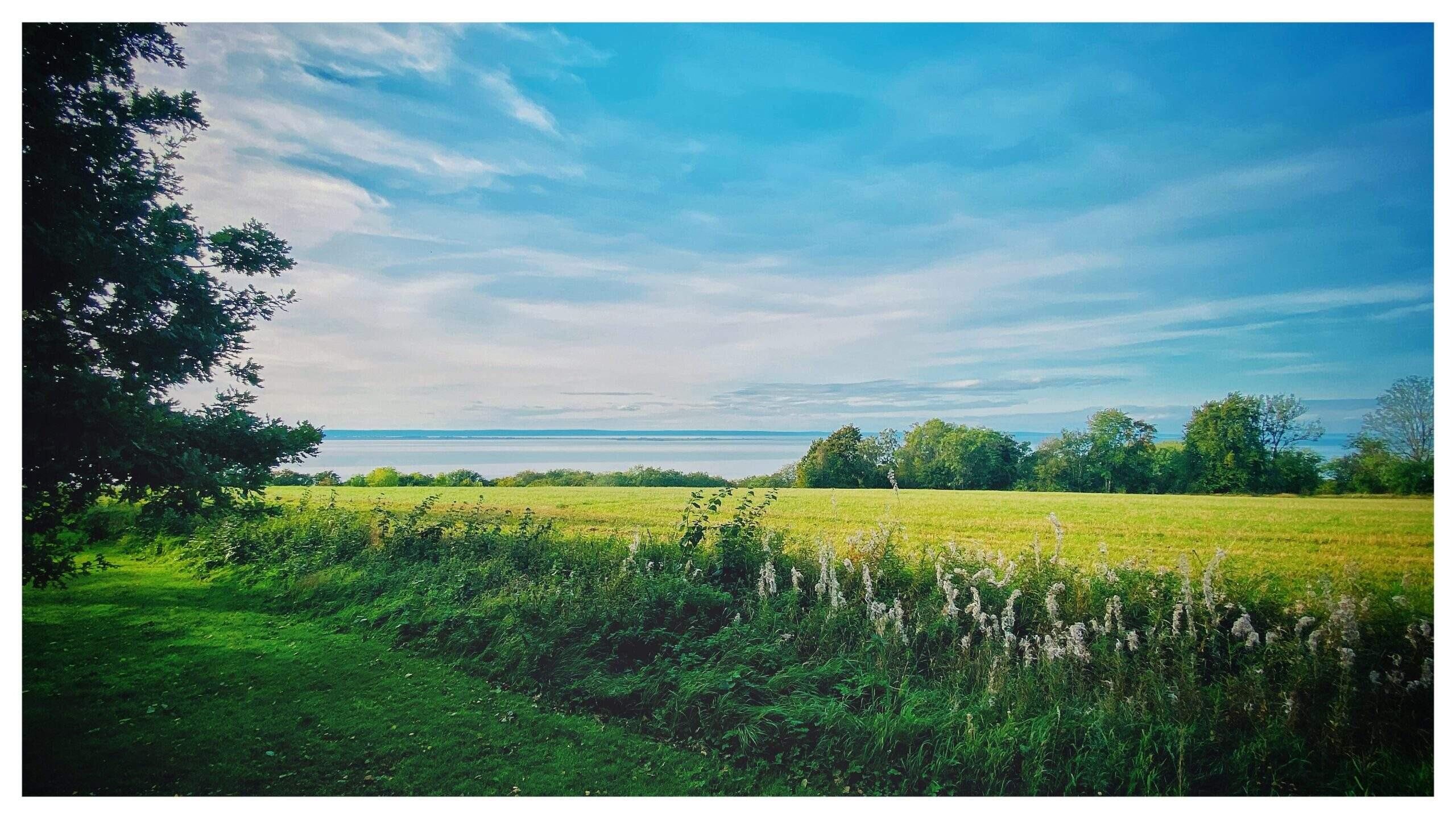 Bild ohne Beschreibung Bild ohne Beschreibung