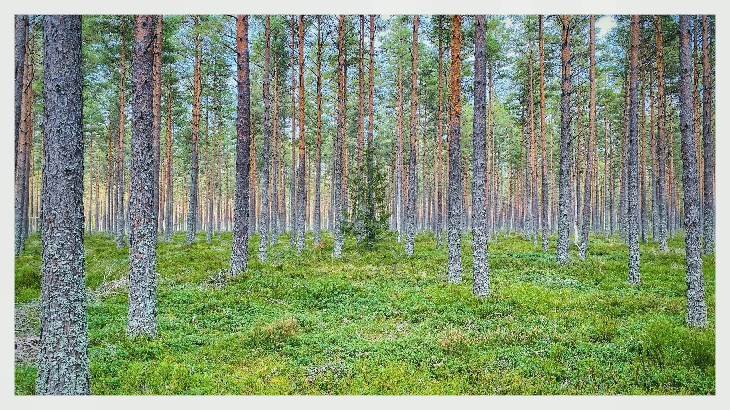 Bild ohne Beschreibung Bild ohne Beschreibung