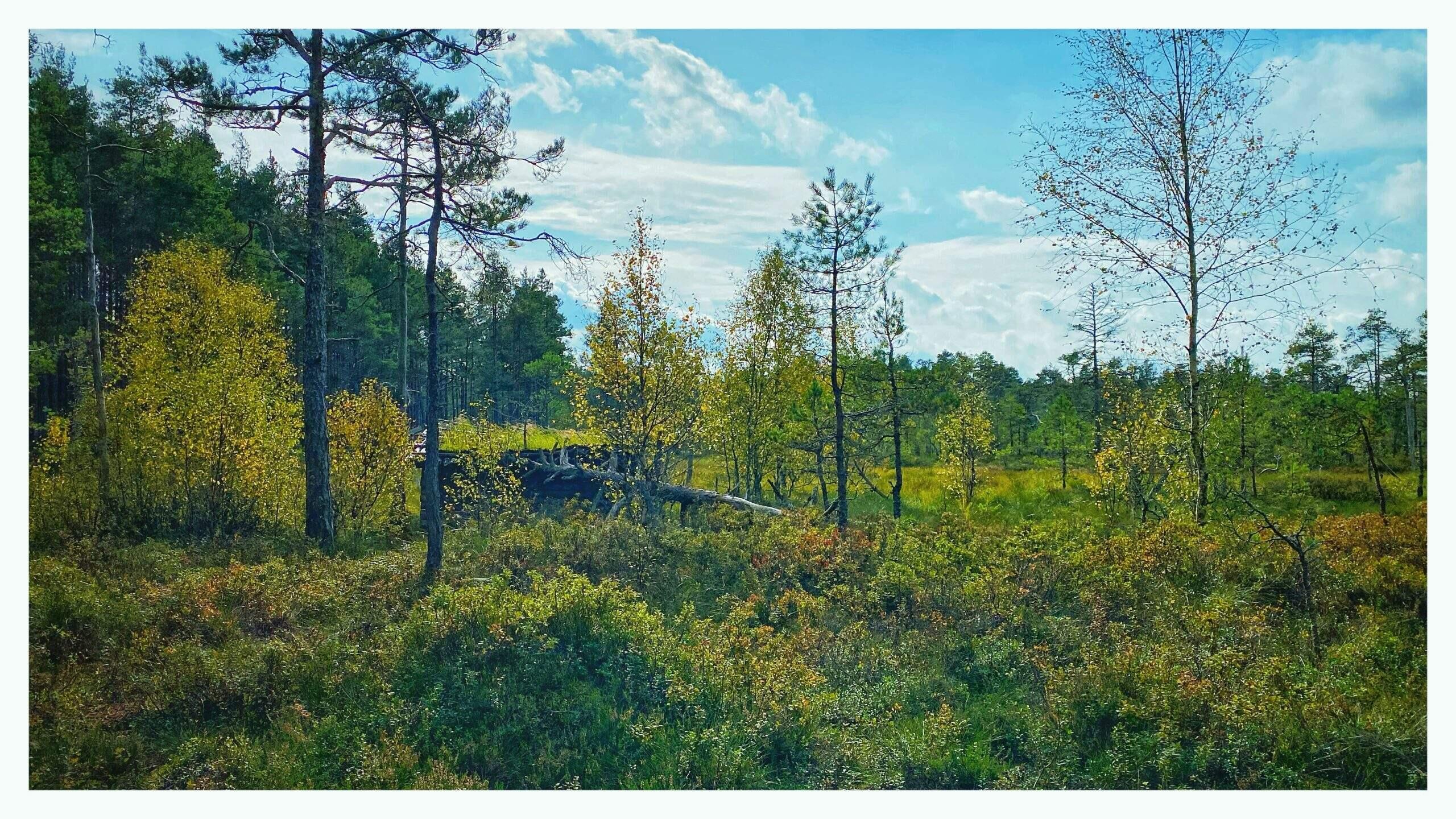 Bild ohne Beschreibung Bild ohne Beschreibung