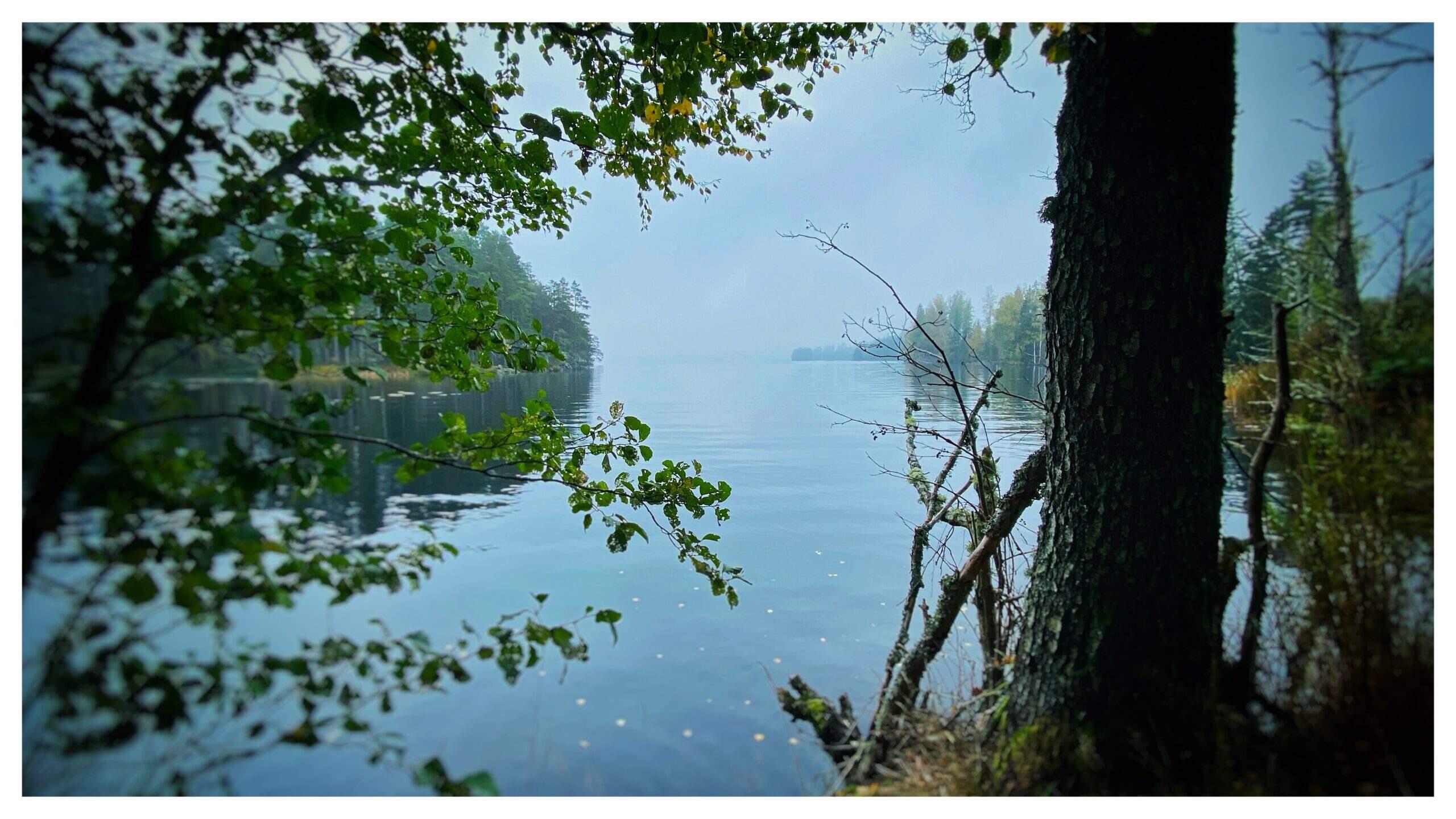 Bild ohne Beschreibung Bild ohne Beschreibung