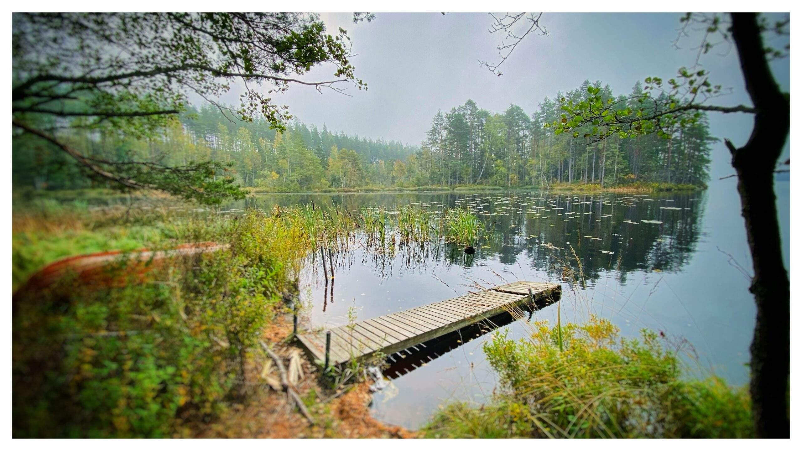 Bild ohne Beschreibung Bild ohne Beschreibung