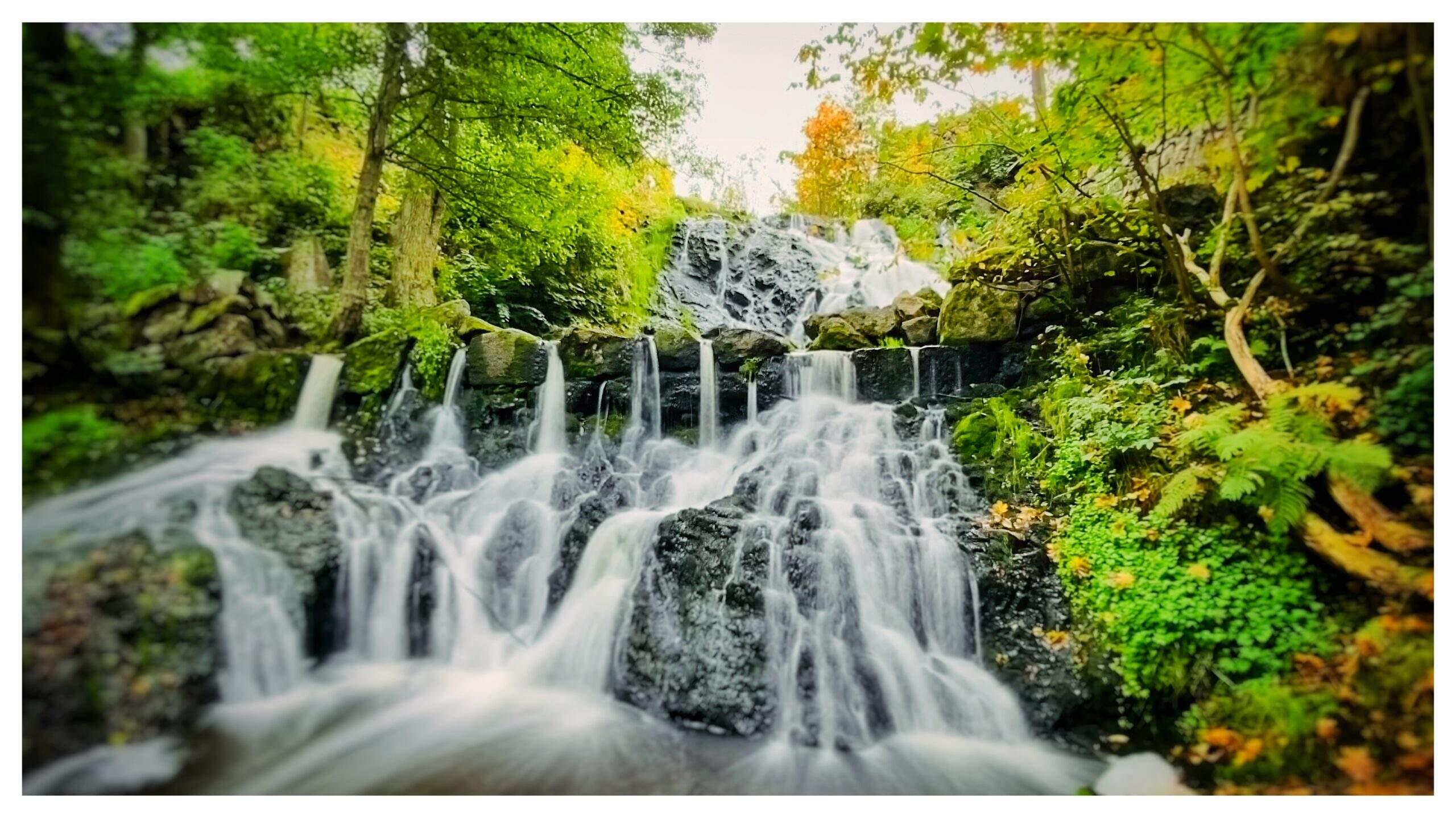 Bild ohne Beschreibung Bild ohne Beschreibung