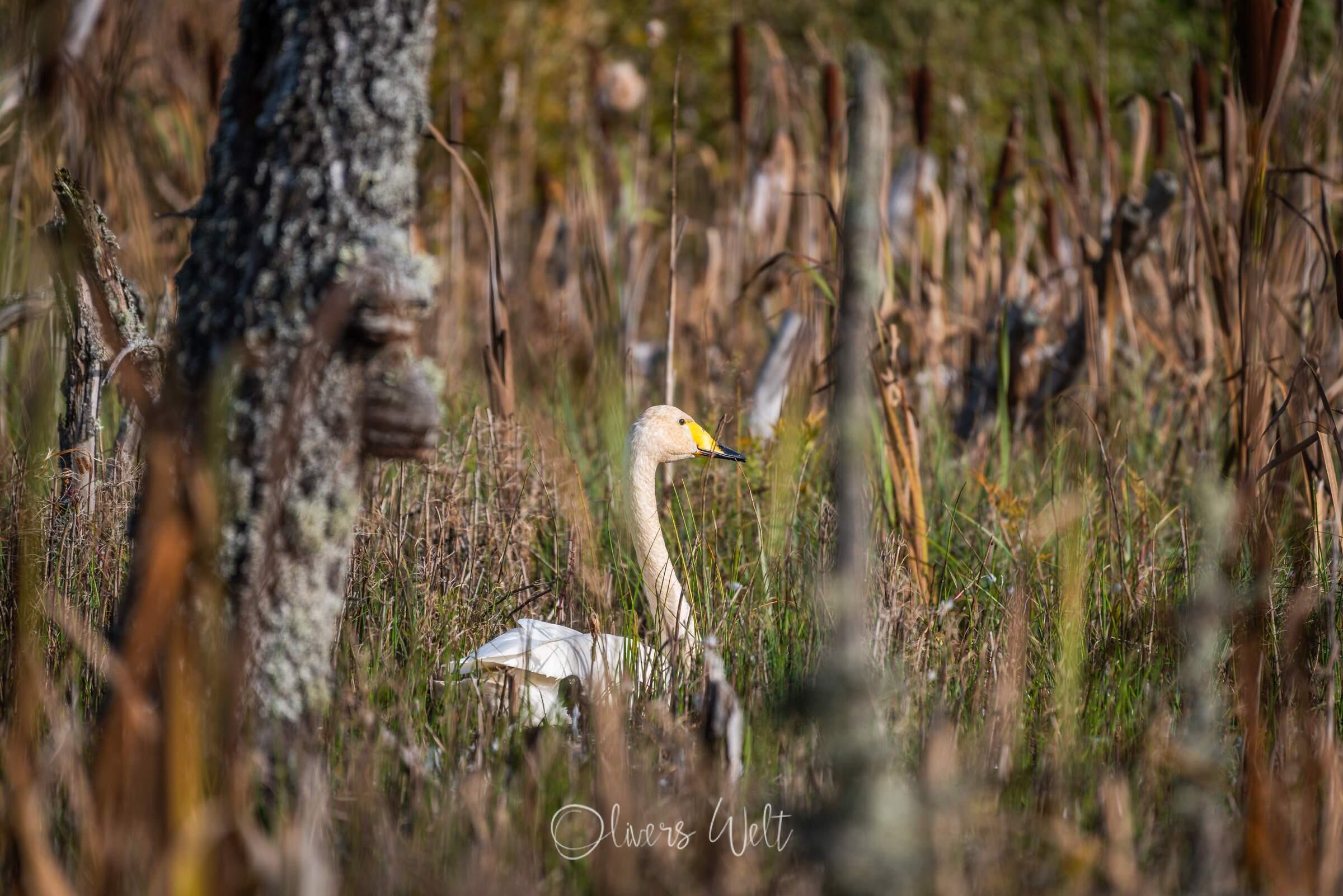 Bild ohne Beschreibung Bild ohne Beschreibung