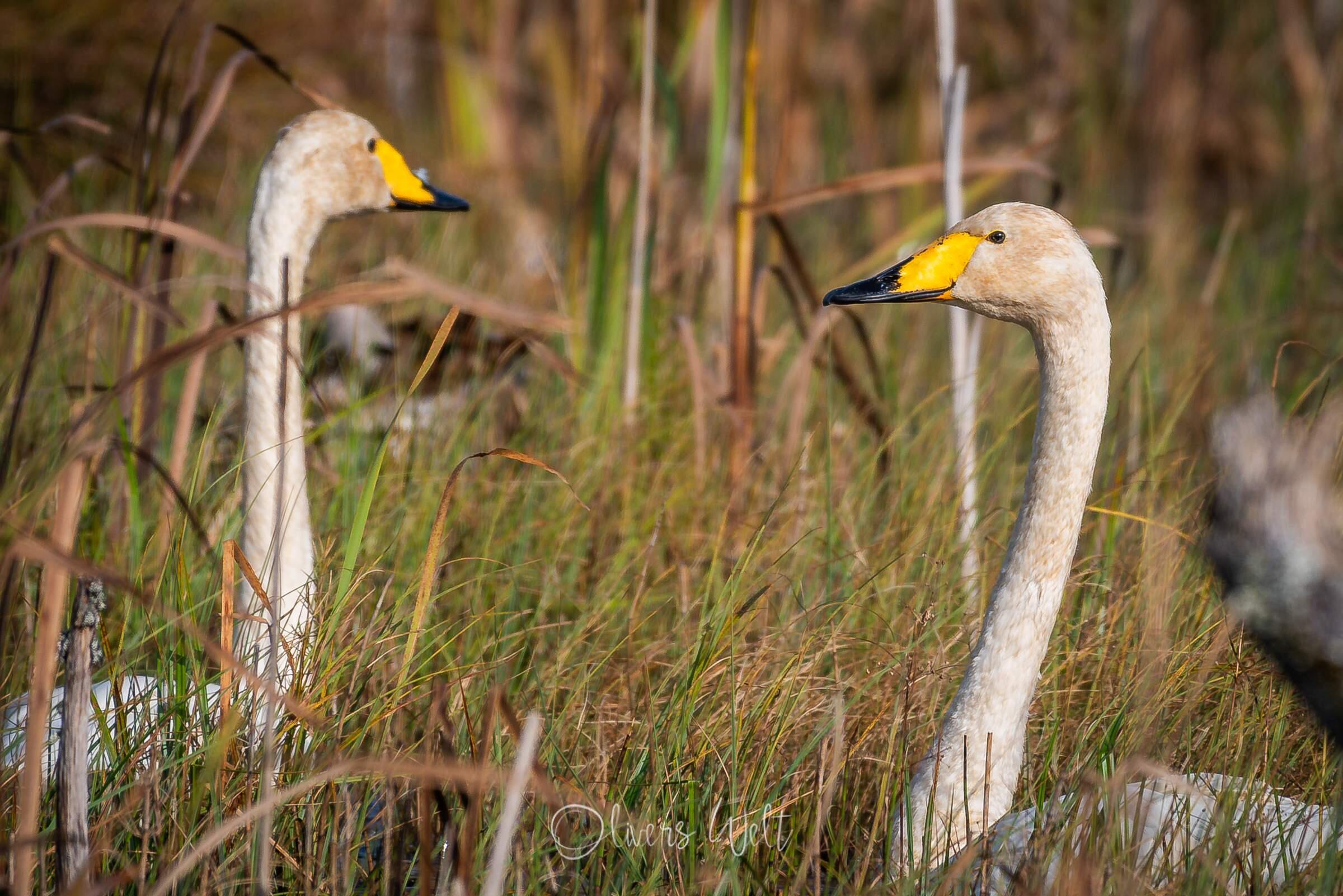 Bild ohne Beschreibung Bild ohne Beschreibung
