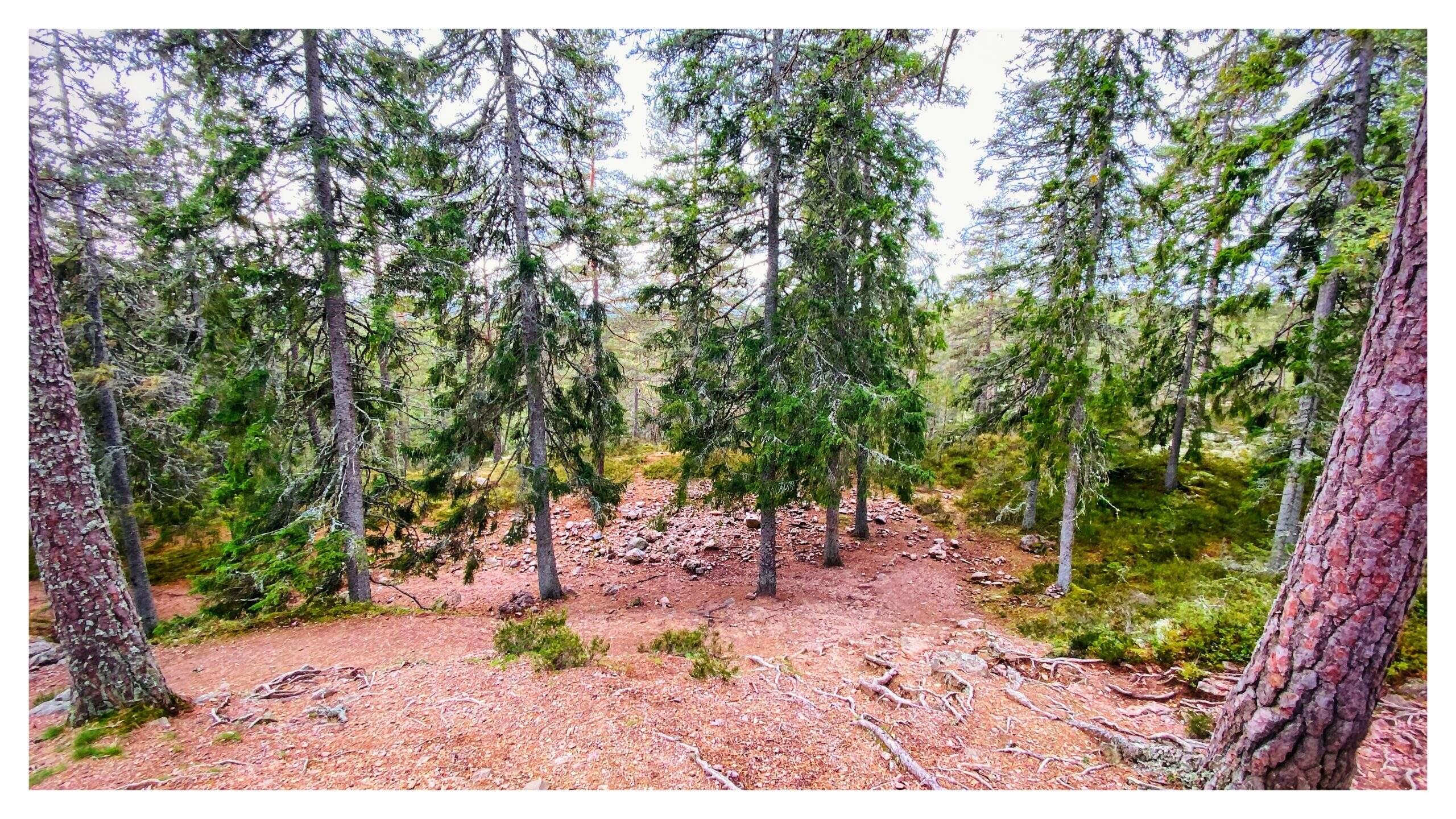 Bild ohne Beschreibung Bild ohne Beschreibung