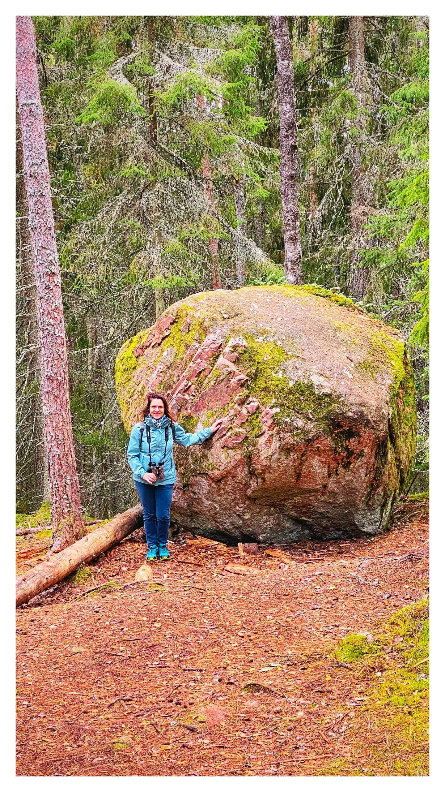 Bild ohne Beschreibung Bild ohne Beschreibung