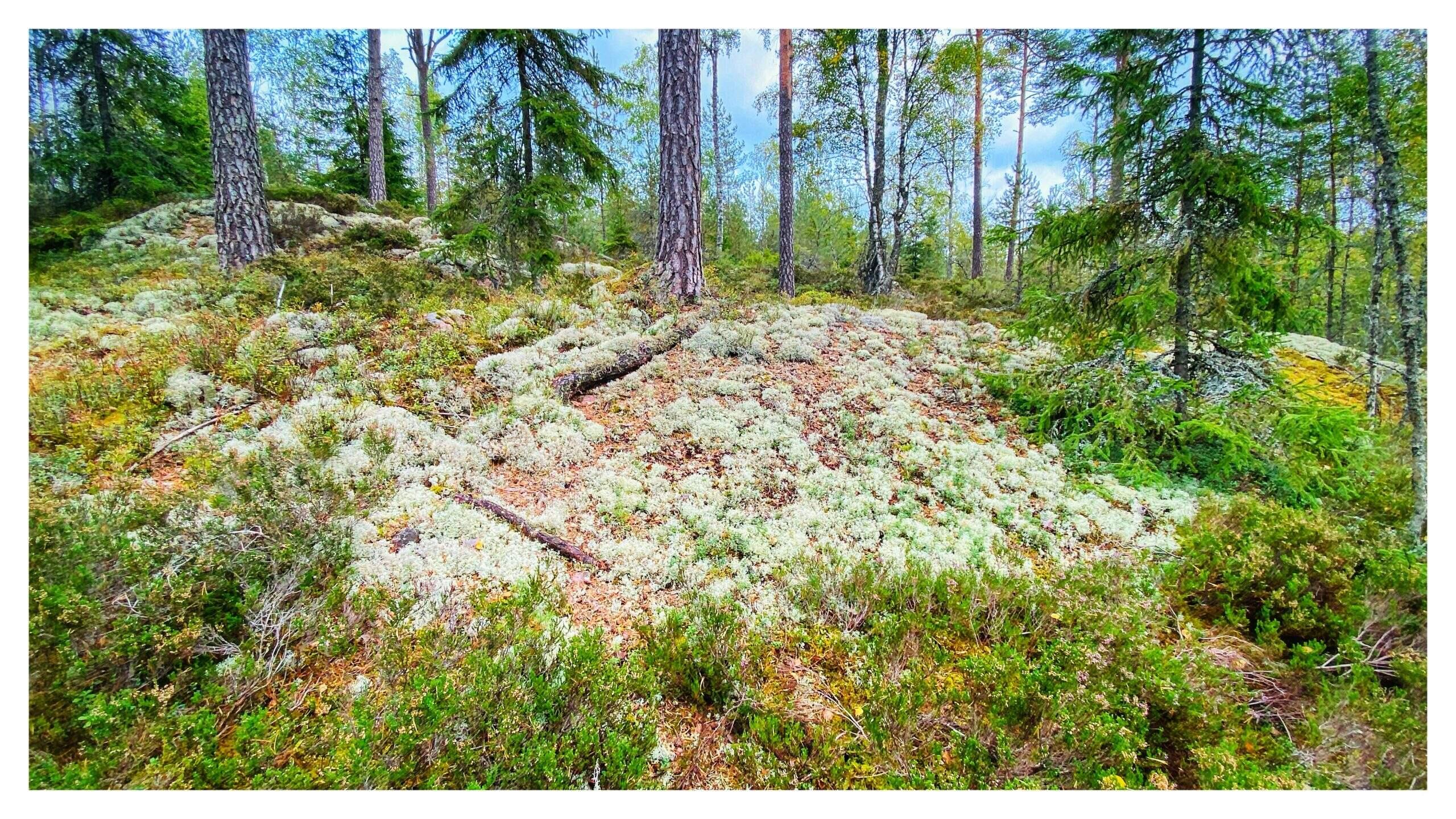 Bild ohne Beschreibung Bild ohne Beschreibung