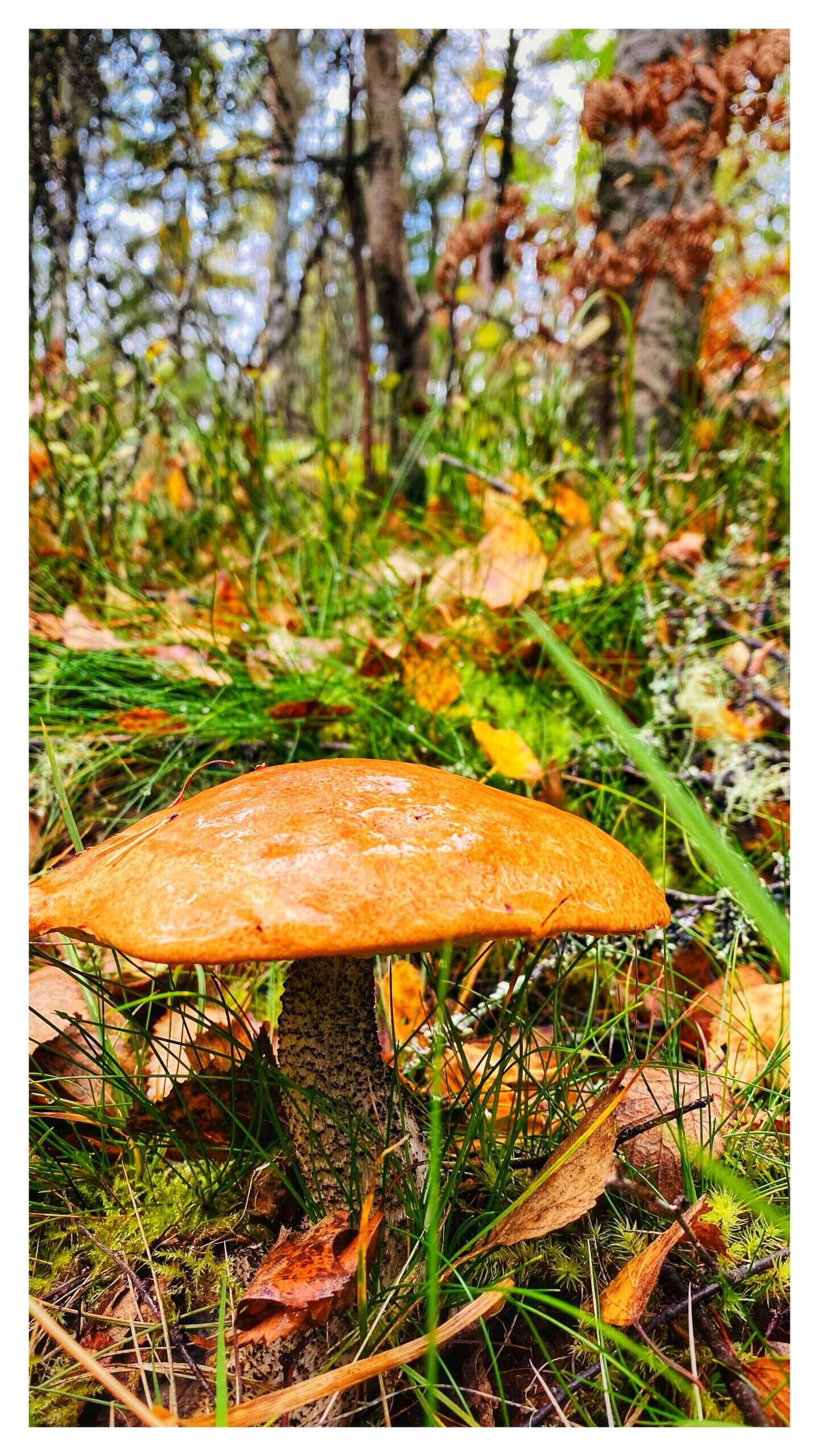 Bild ohne Beschreibung Bild ohne Beschreibung