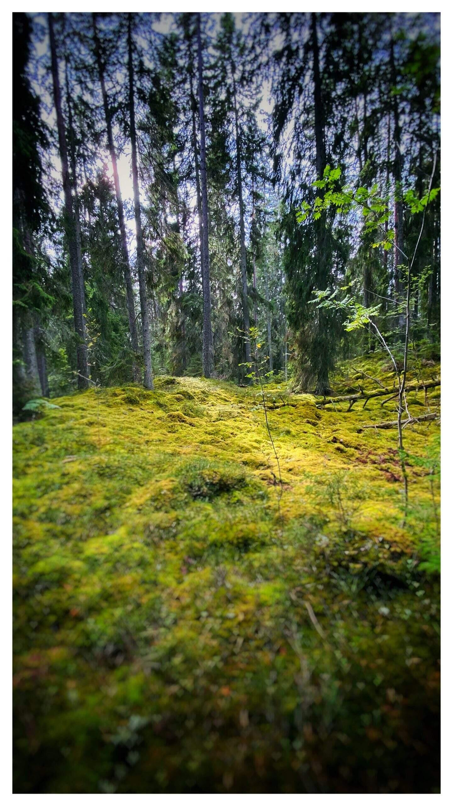 Bild ohne Beschreibung Bild ohne Beschreibung