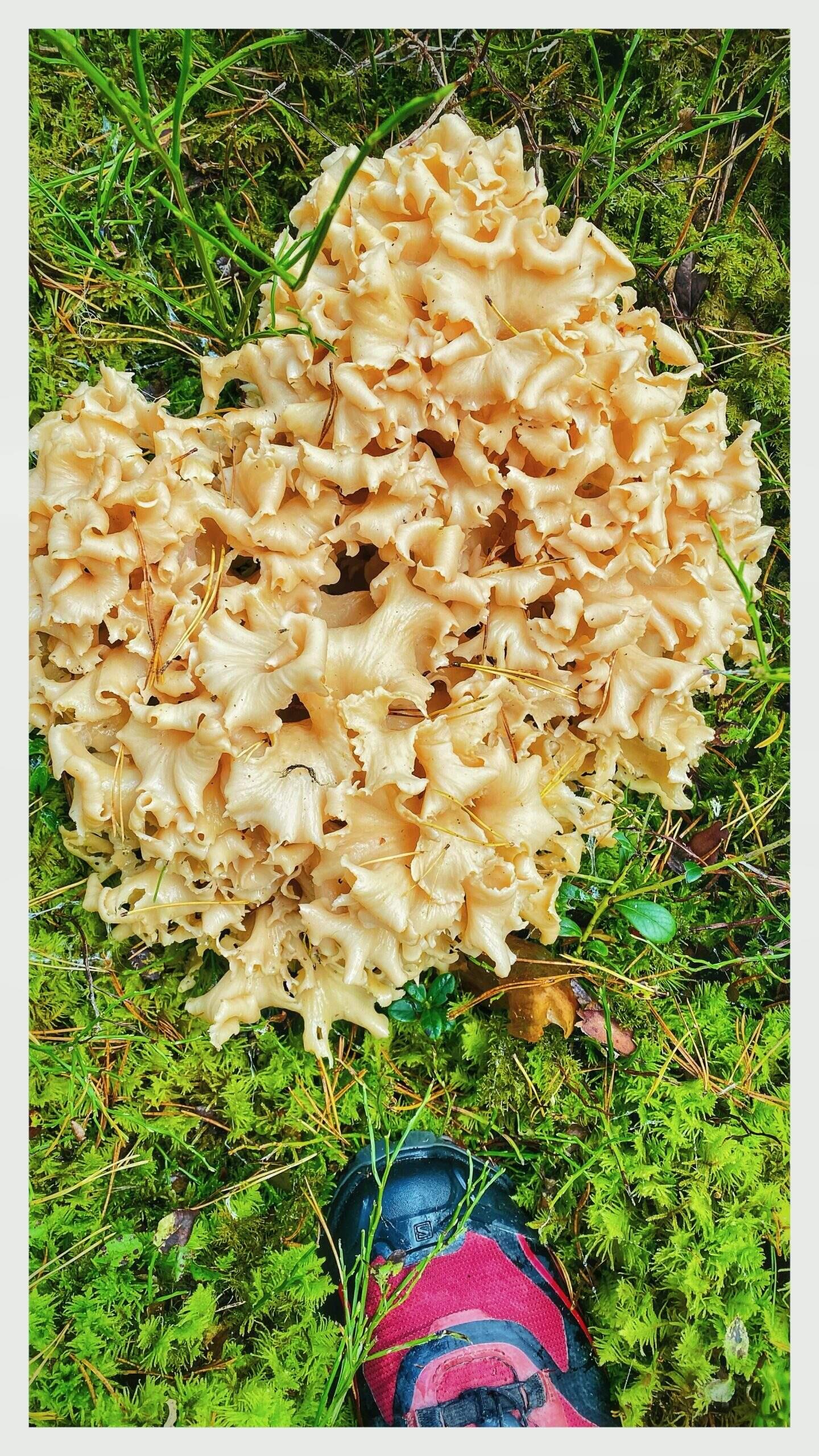 Bild ohne Beschreibung Bild ohne Beschreibung