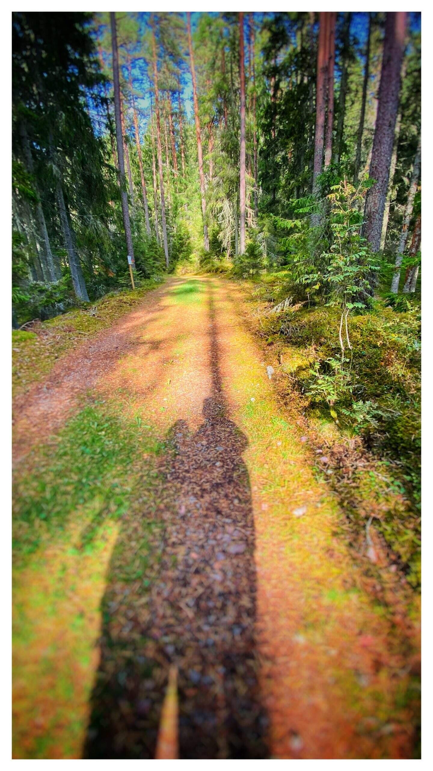 Bild ohne Beschreibung Bild ohne Beschreibung