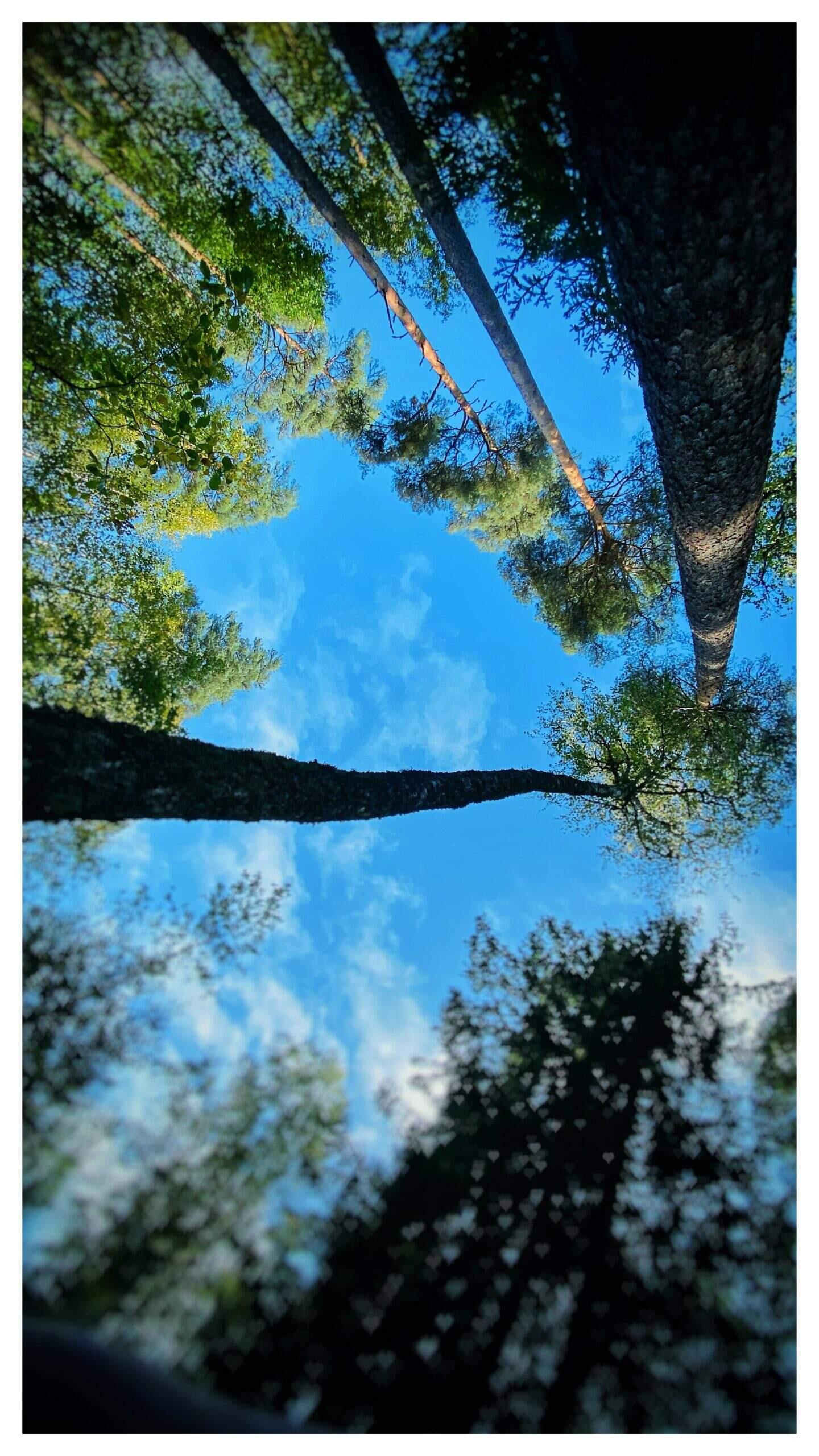 Bild ohne Beschreibung Bild ohne Beschreibung