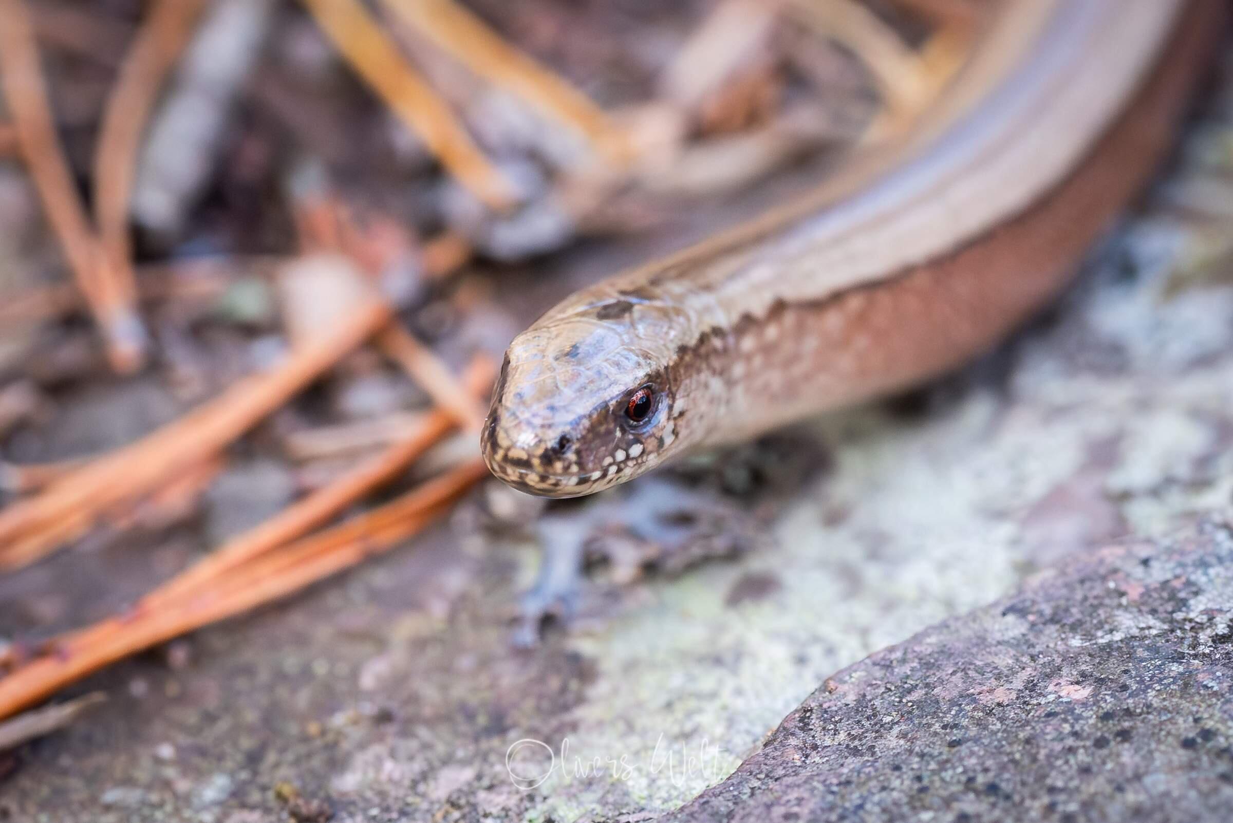 Bild ohne Beschreibung Bild ohne Beschreibung