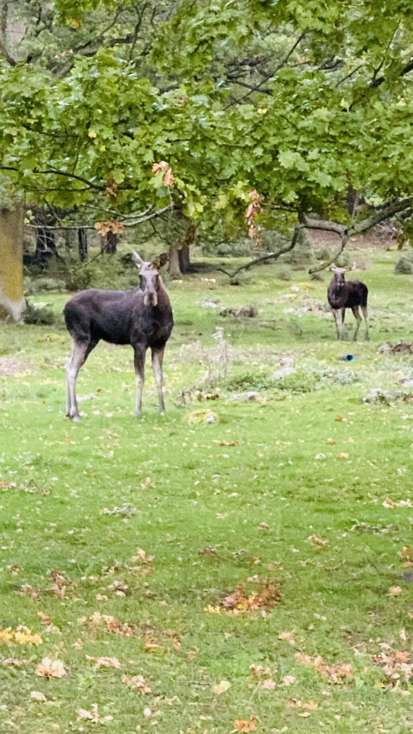Bild ohne Beschreibung Bild ohne Beschreibung