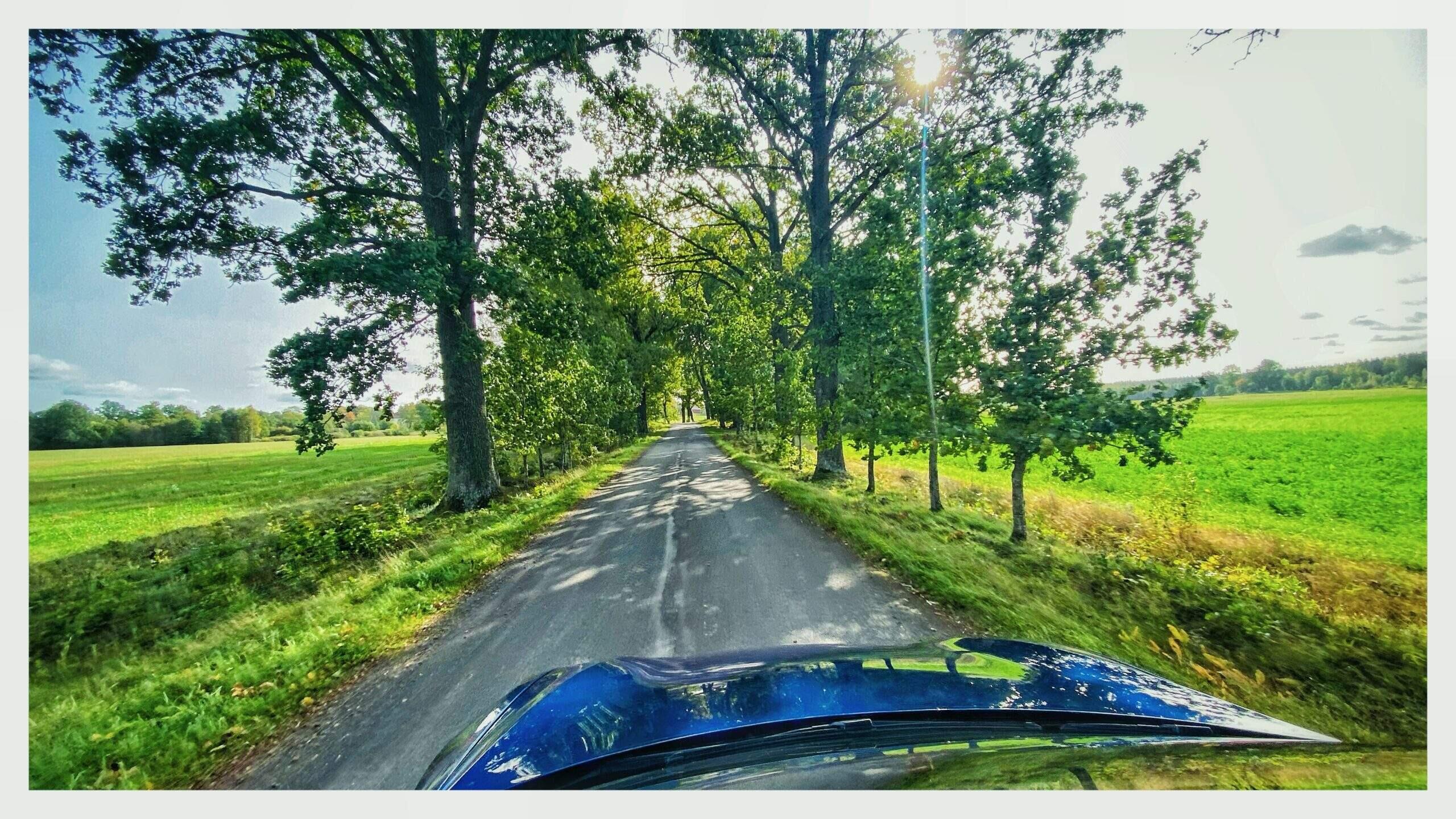 Bild ohne Beschreibung Bild ohne Beschreibung