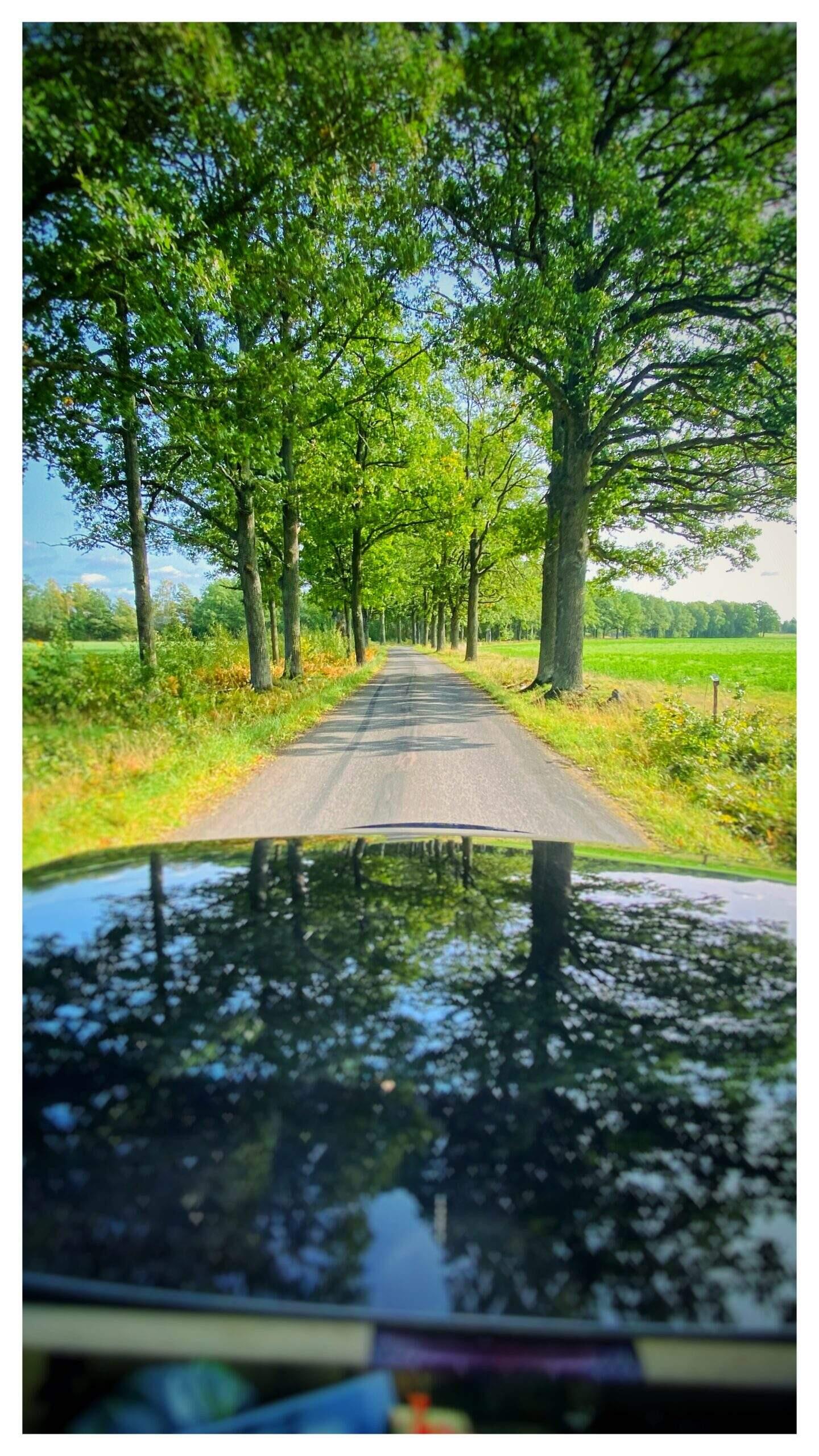 Bild ohne Beschreibung Bild ohne Beschreibung