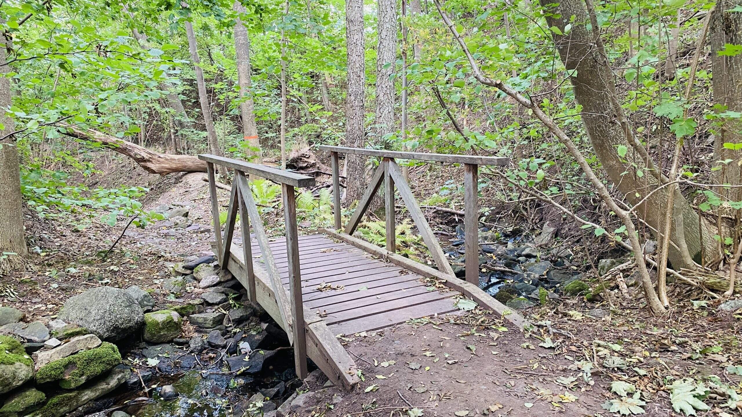 Bild ohne Beschreibung Bild ohne Beschreibung