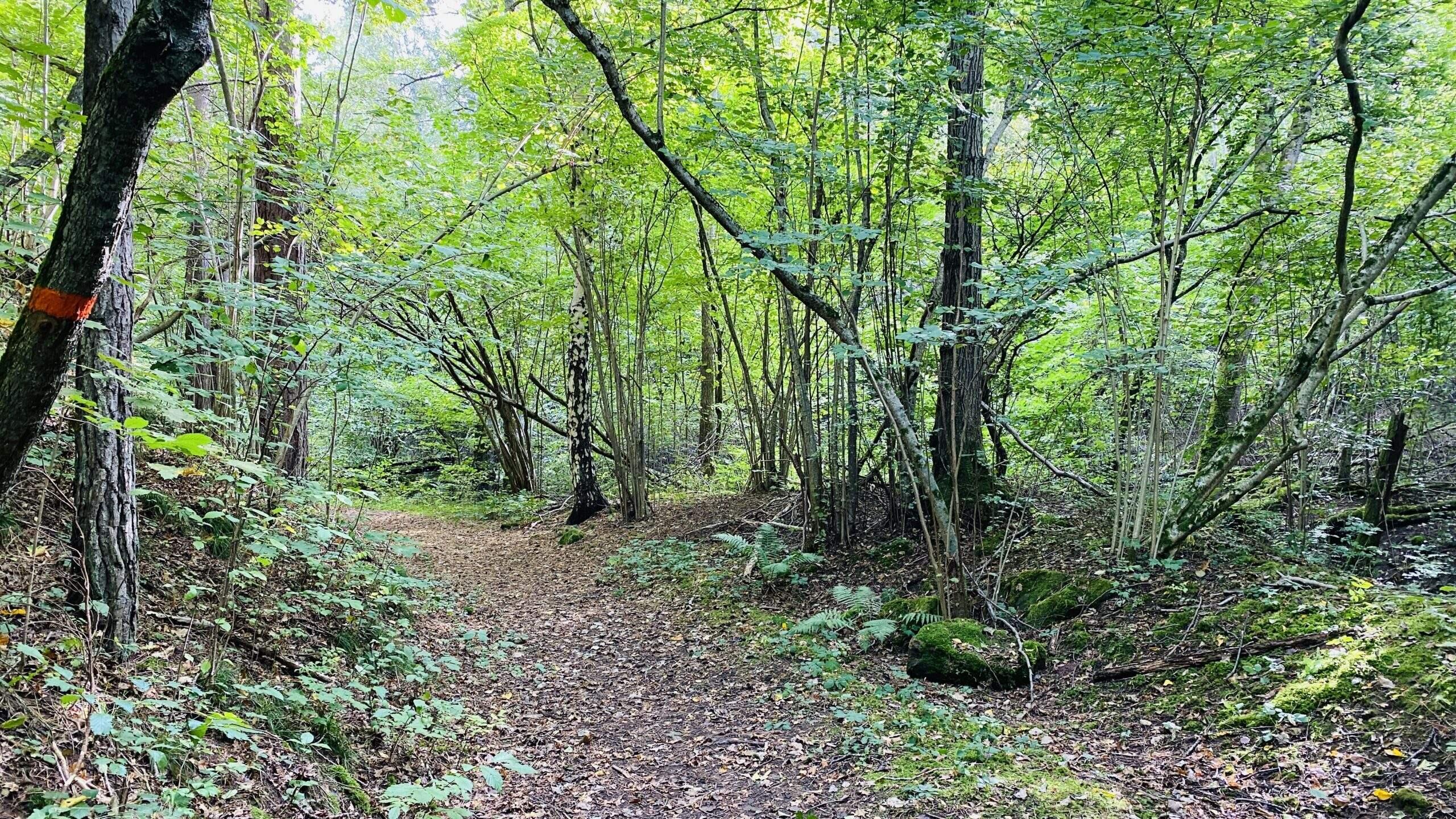 Bild ohne Beschreibung Bild ohne Beschreibung