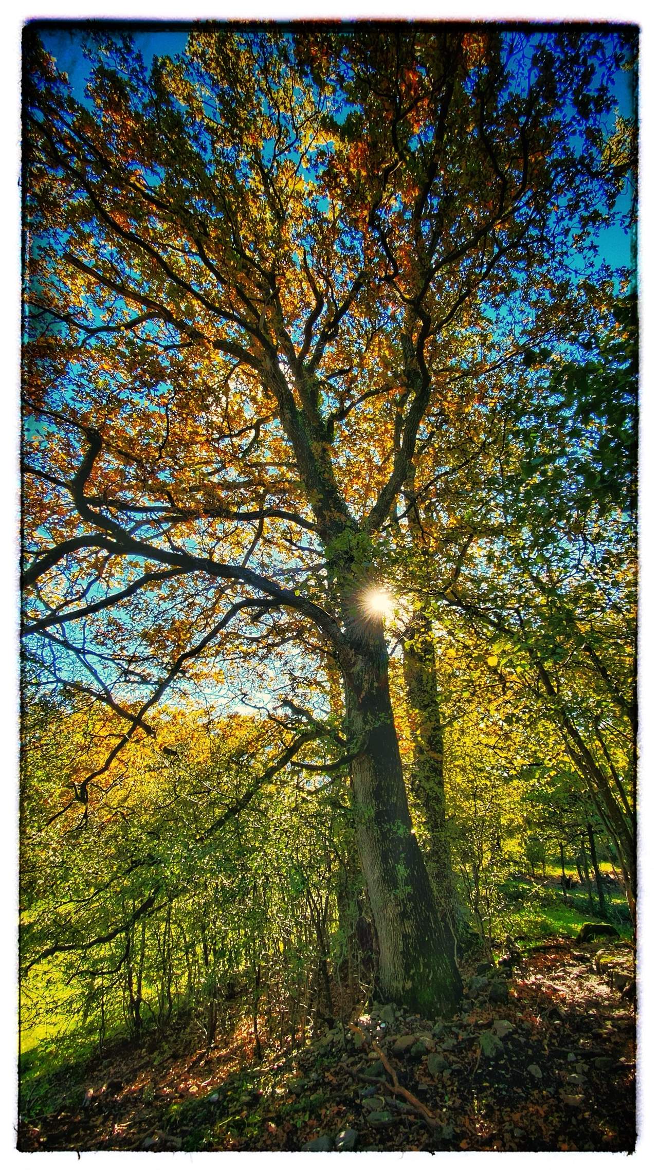 Bild ohne Beschreibung