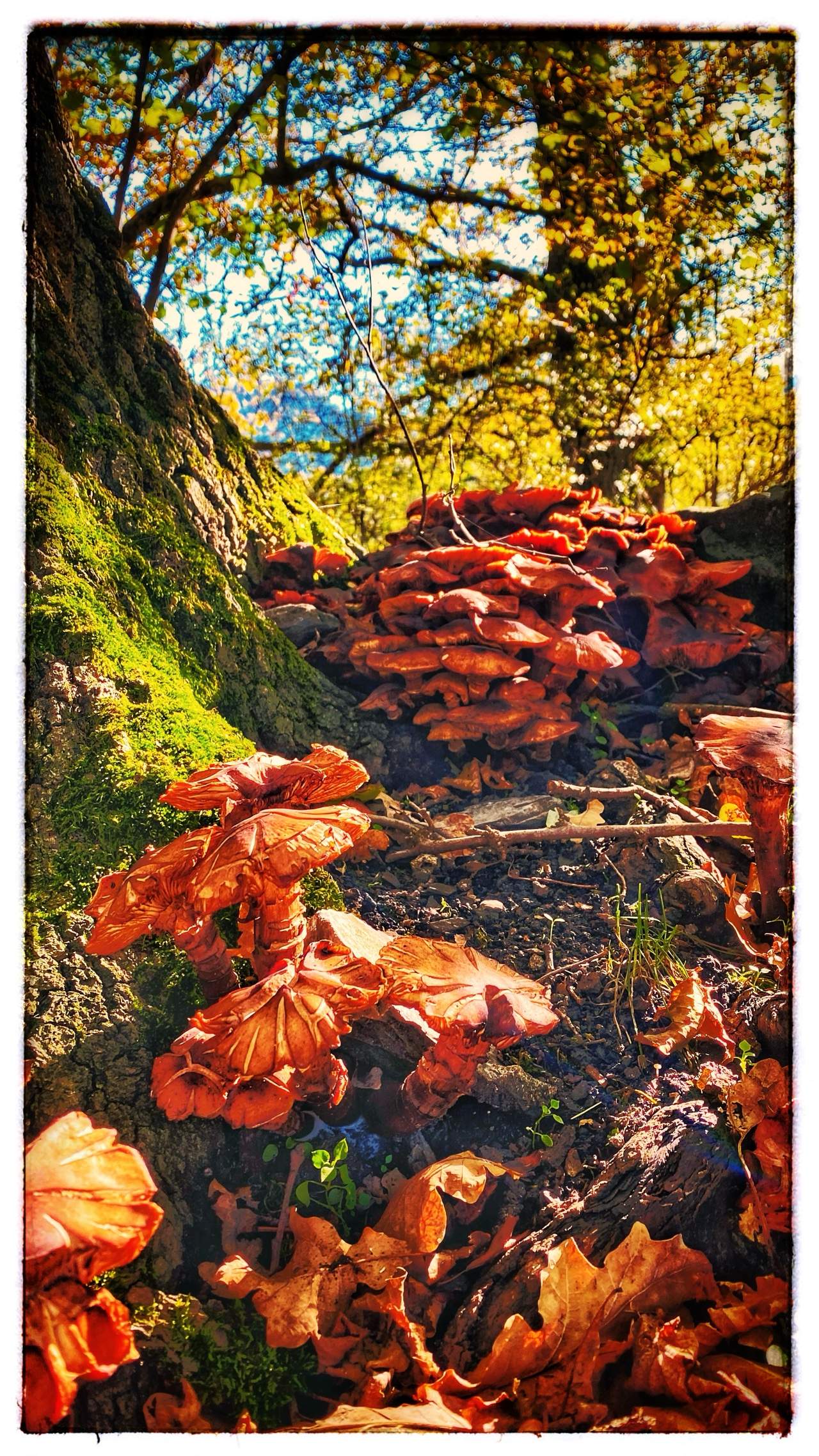 Bild ohne Beschreibung