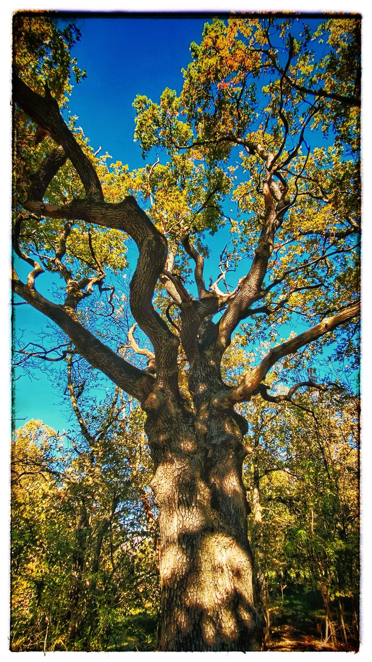 Bild ohne Beschreibung