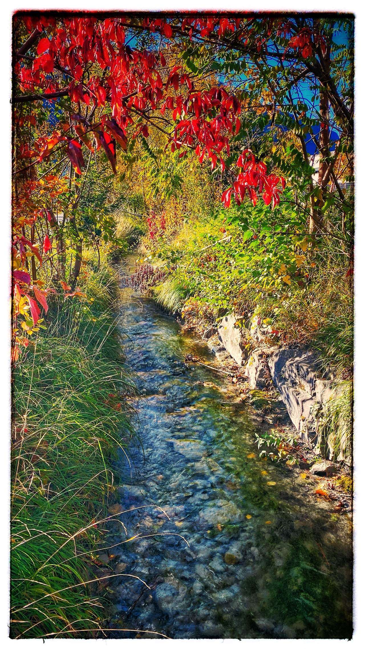 Bild ohne Beschreibung