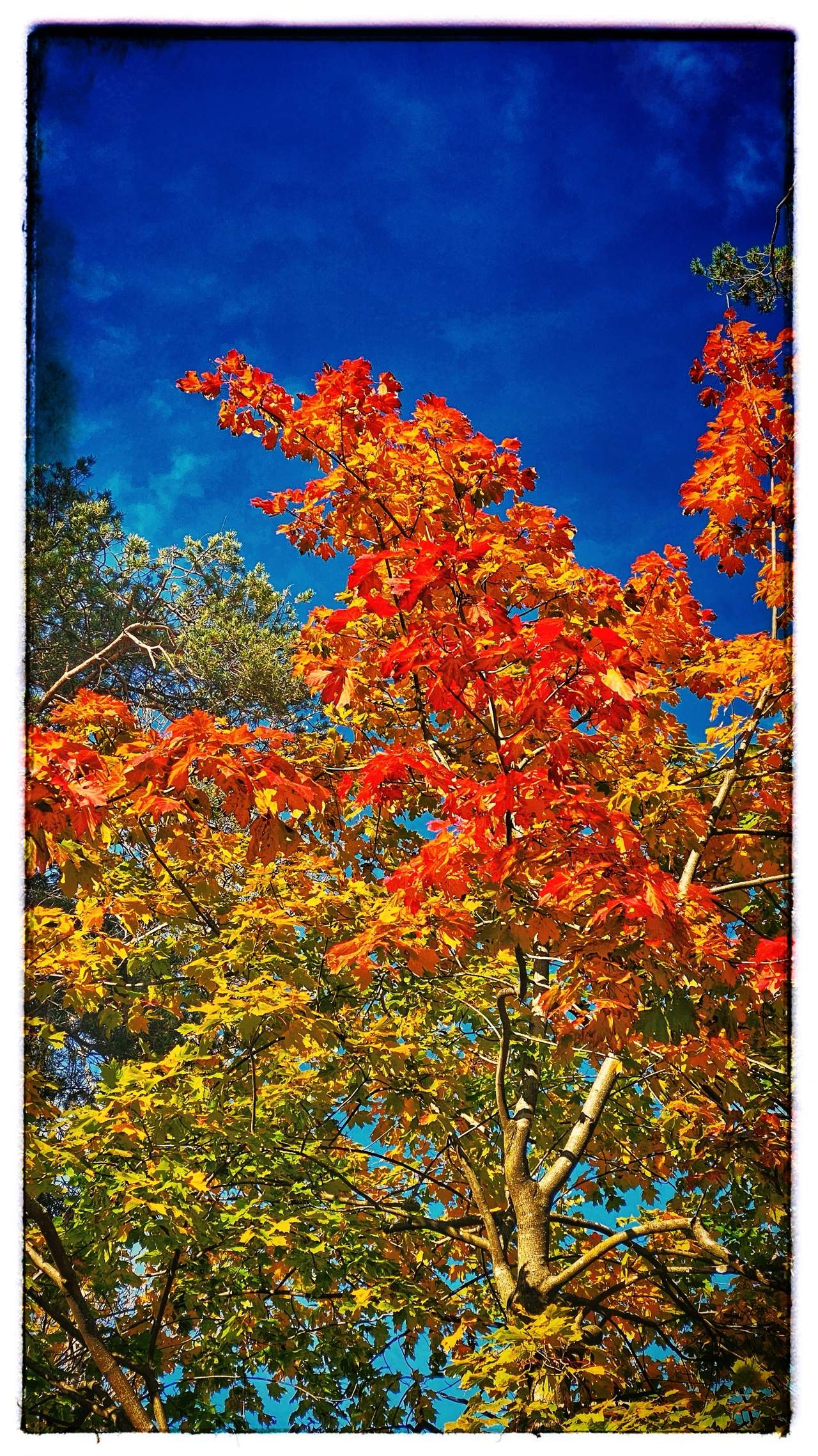 Bild ohne Beschreibung