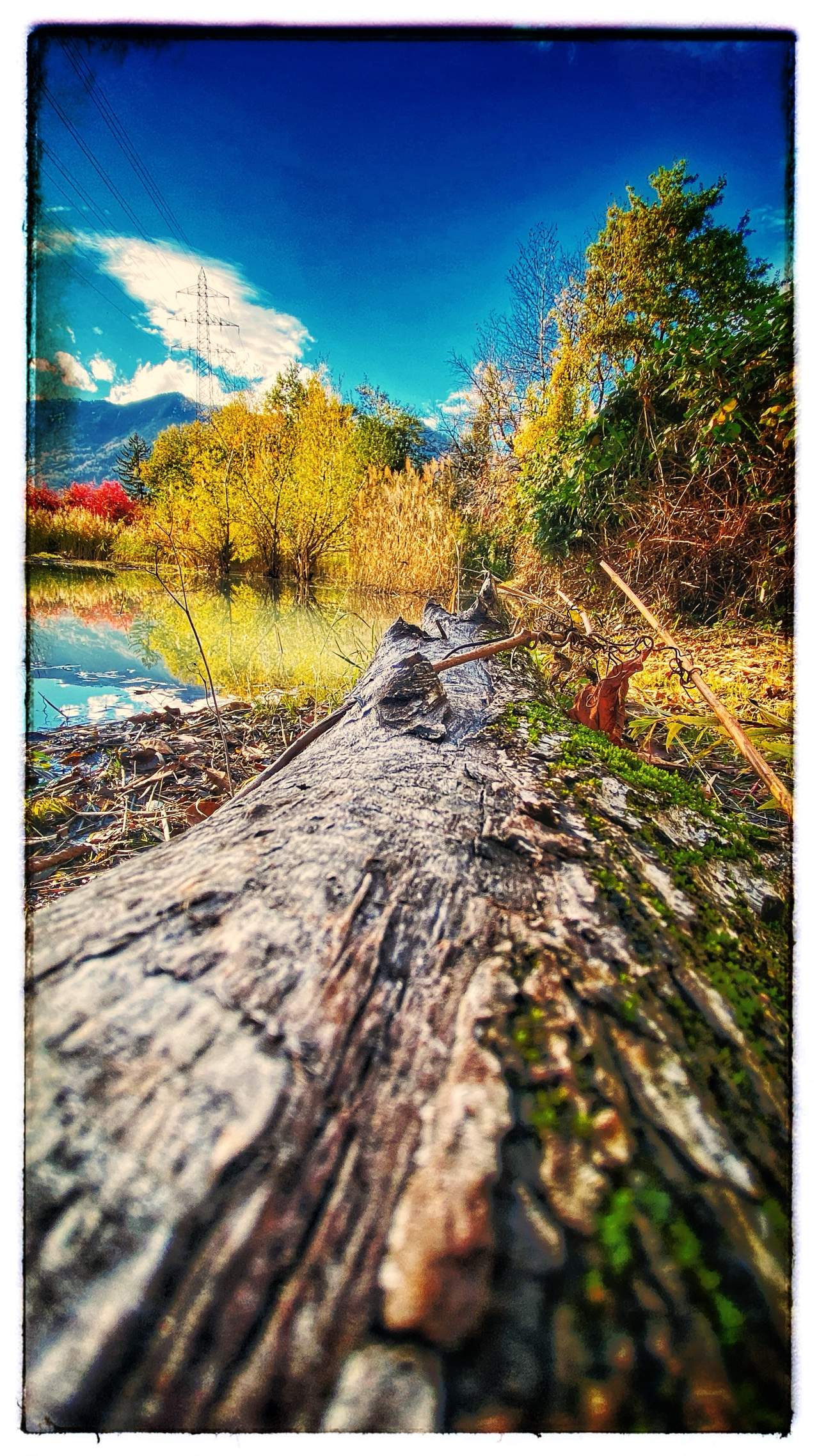 Bild ohne Beschreibung