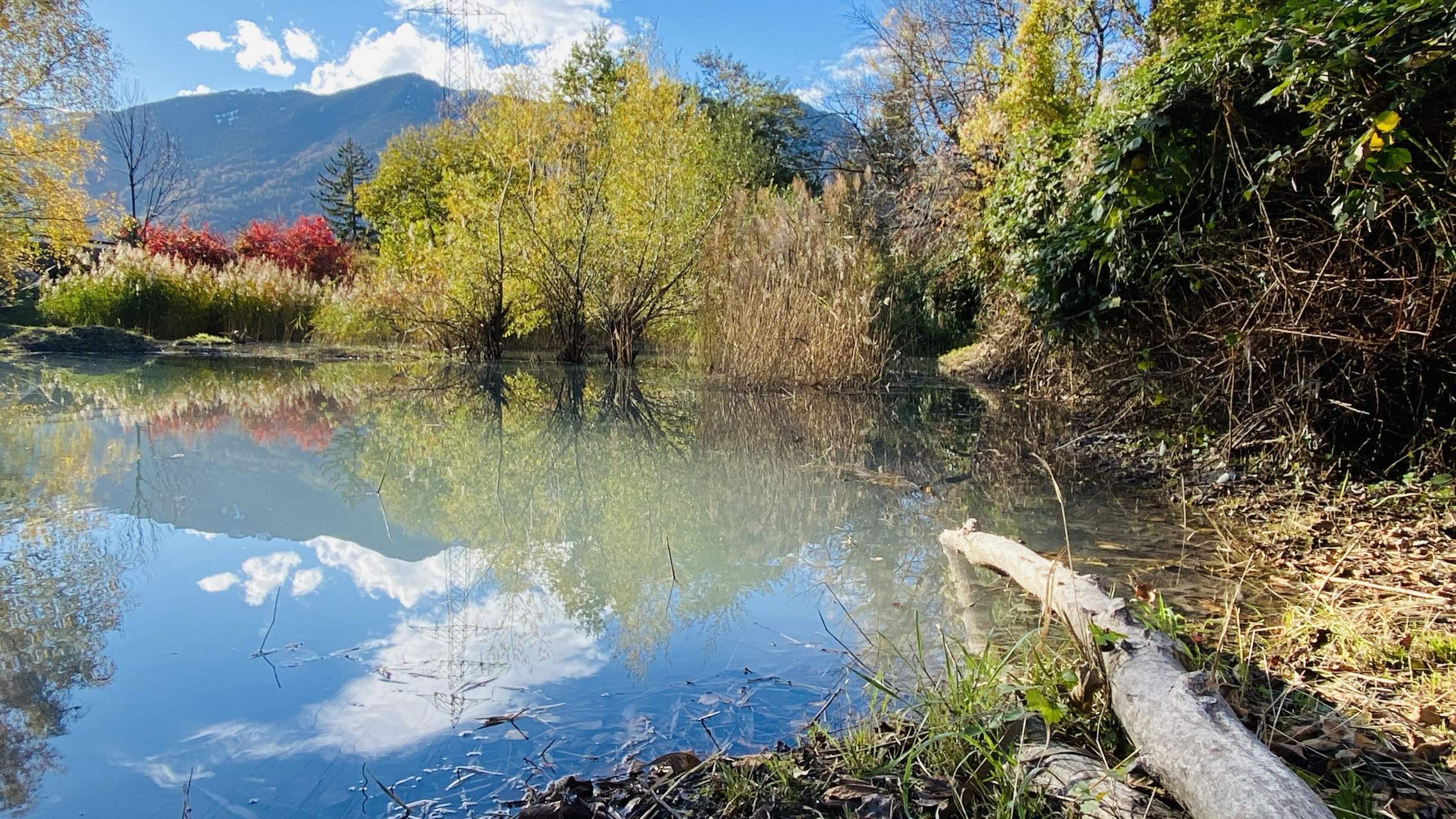 Bild ohne Beschreibung