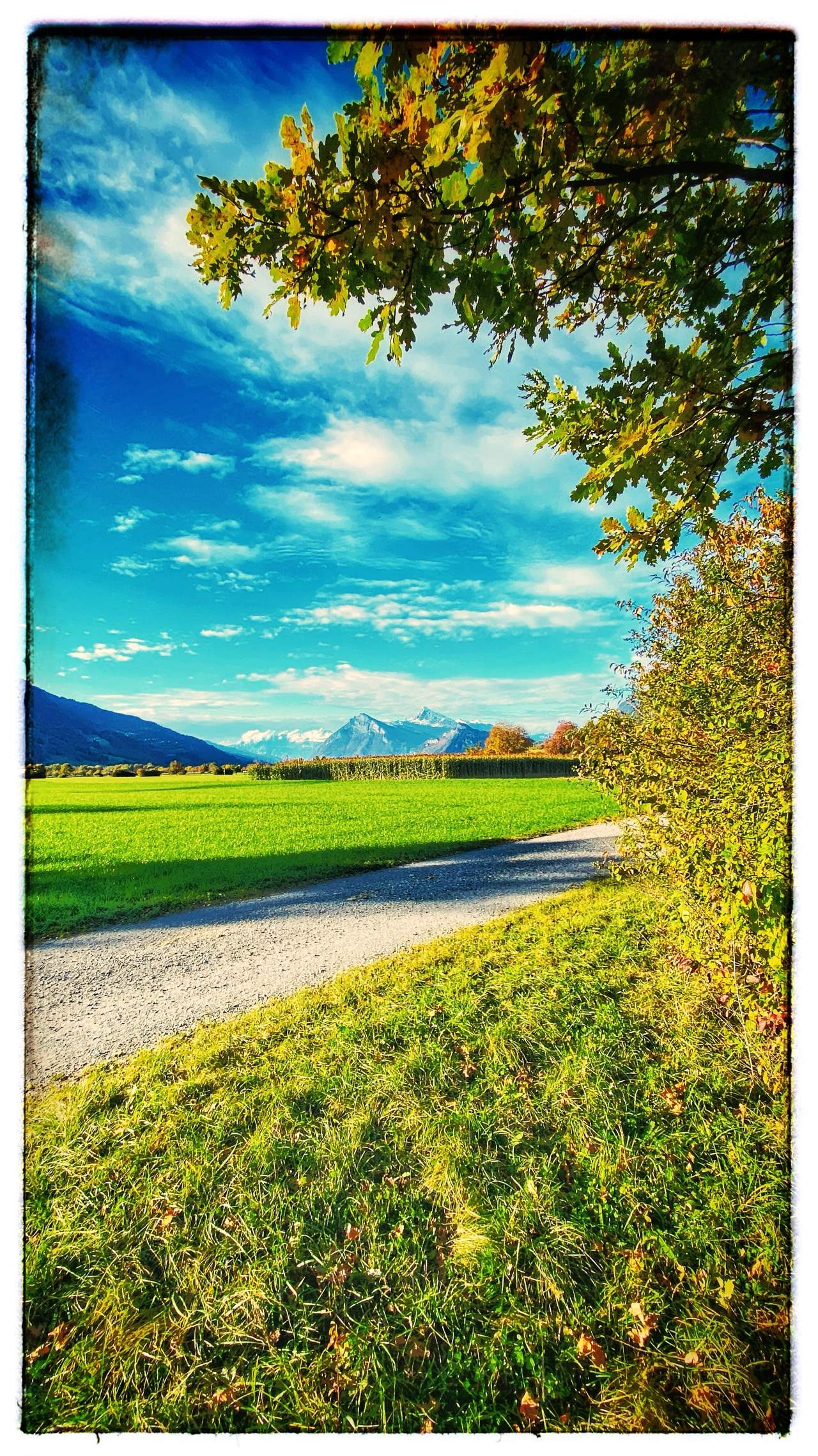 Bild ohne Beschreibung