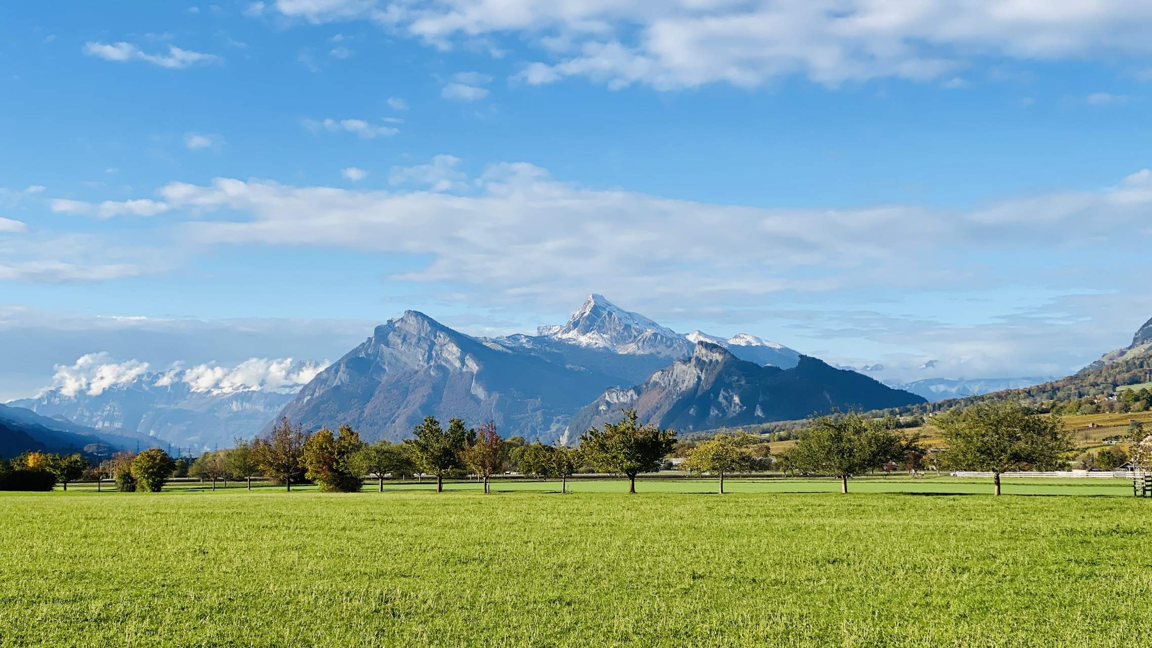 Bild ohne Beschreibung