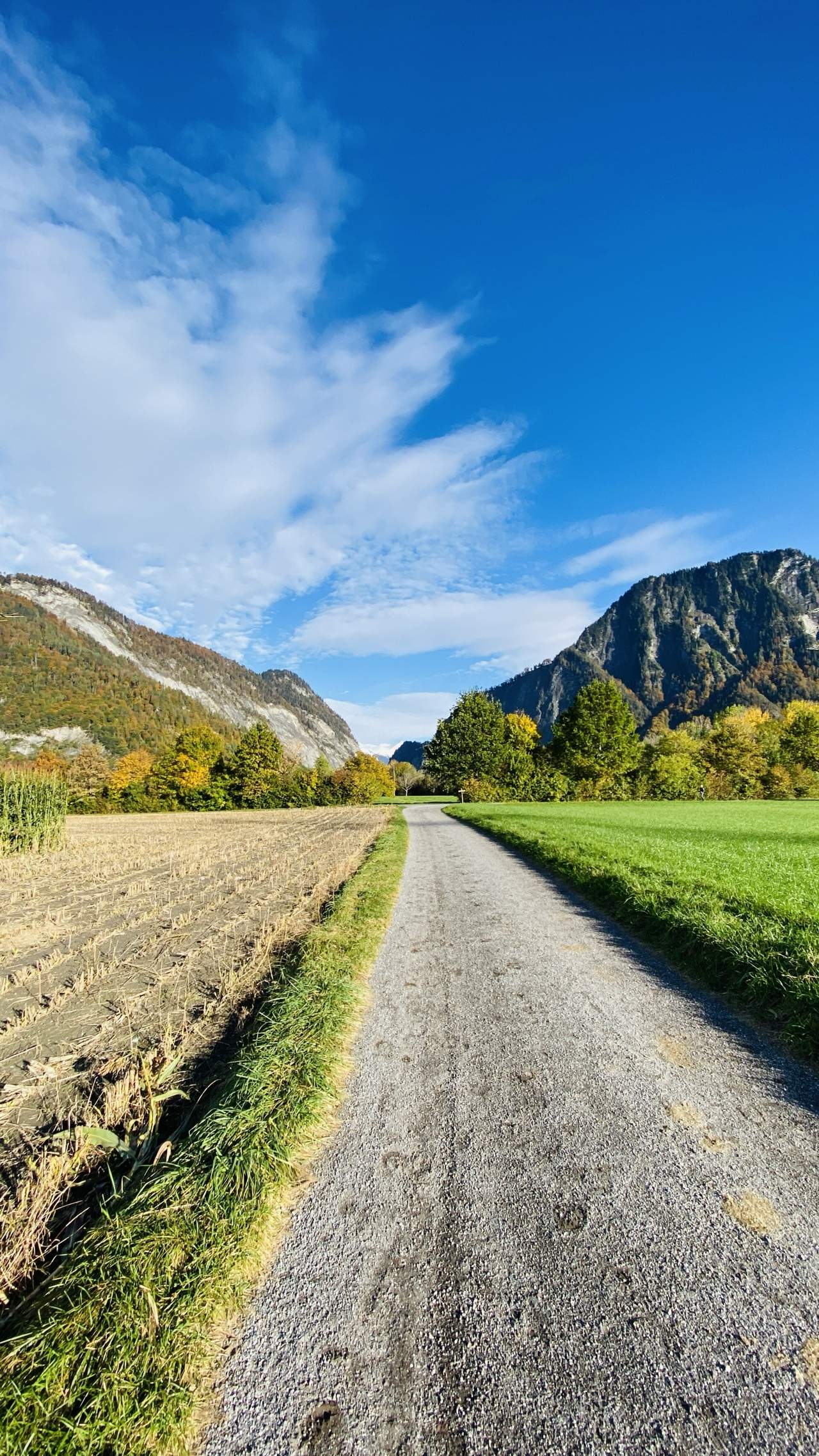 Bild ohne Beschreibung