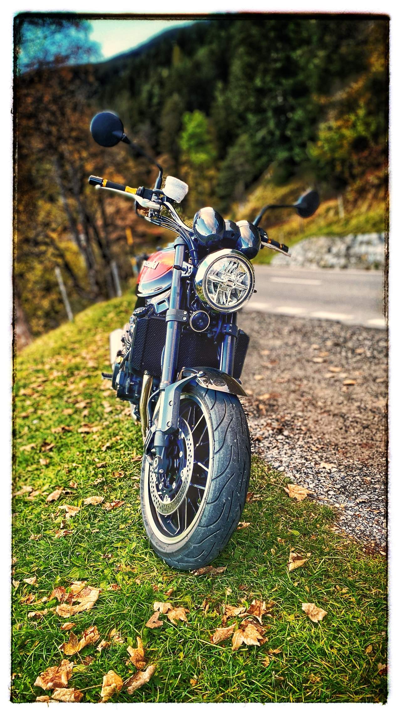 Bild ohne Beschreibung