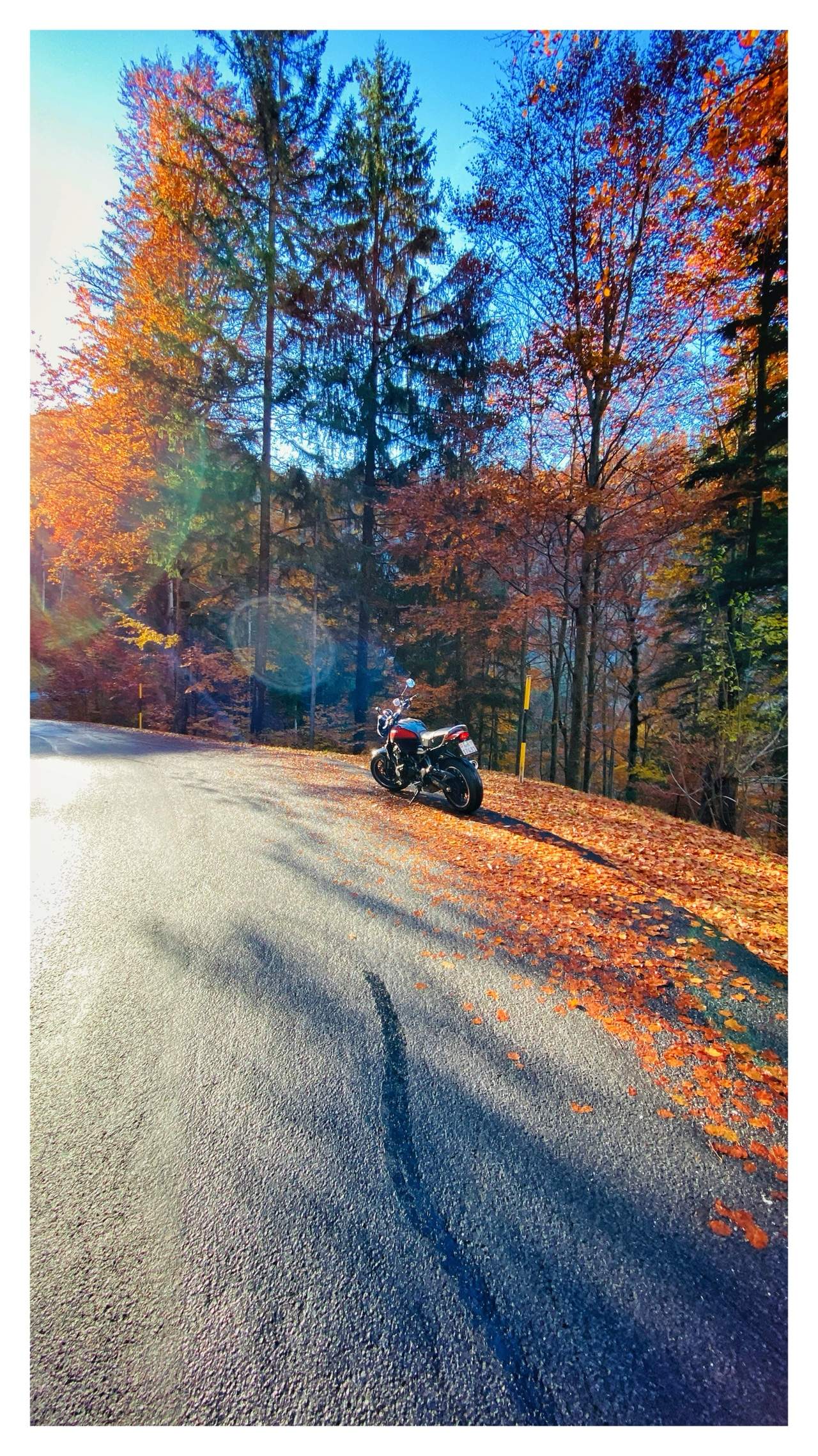 Bild ohne Beschreibung