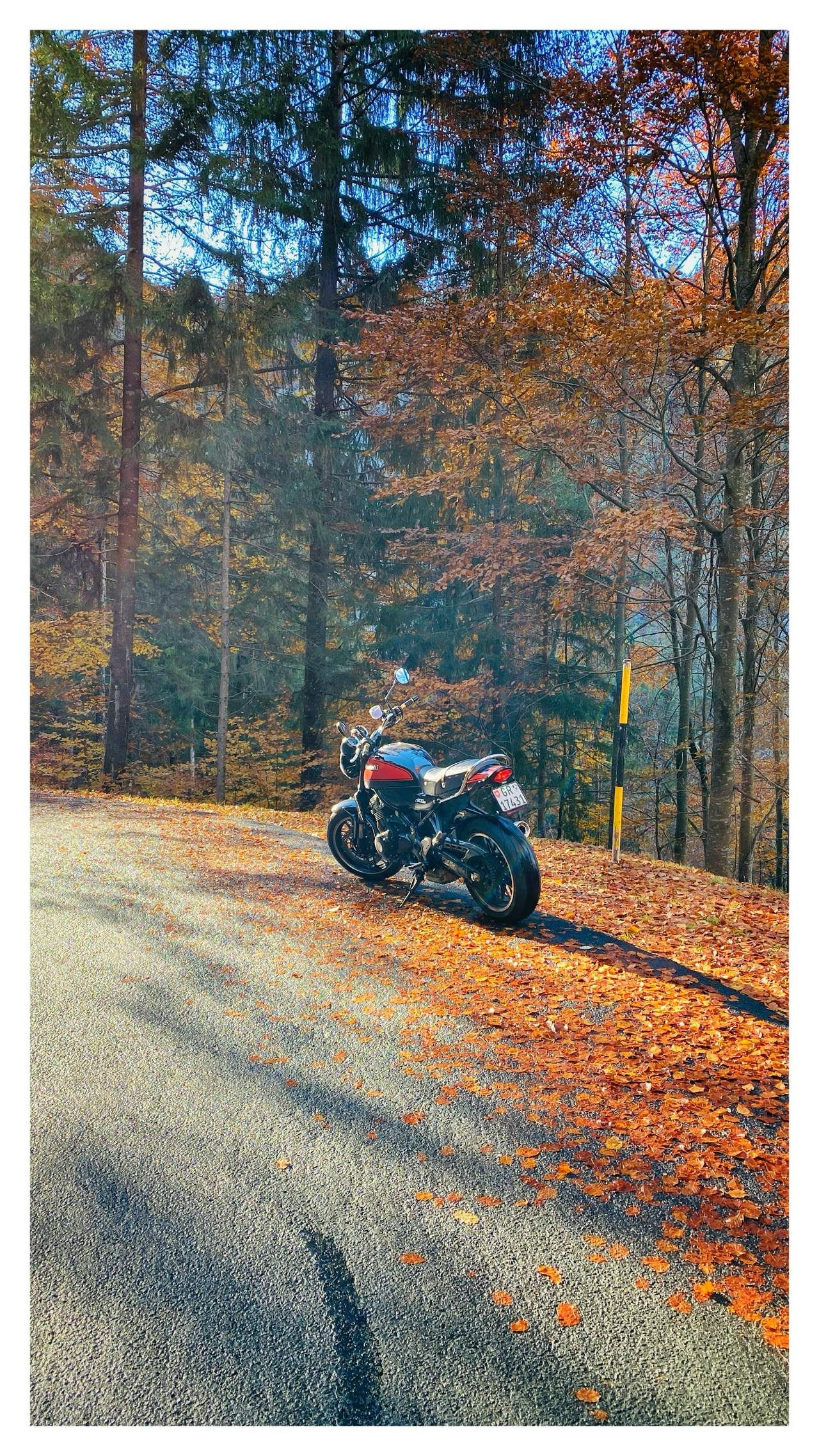 Bild ohne Beschreibung