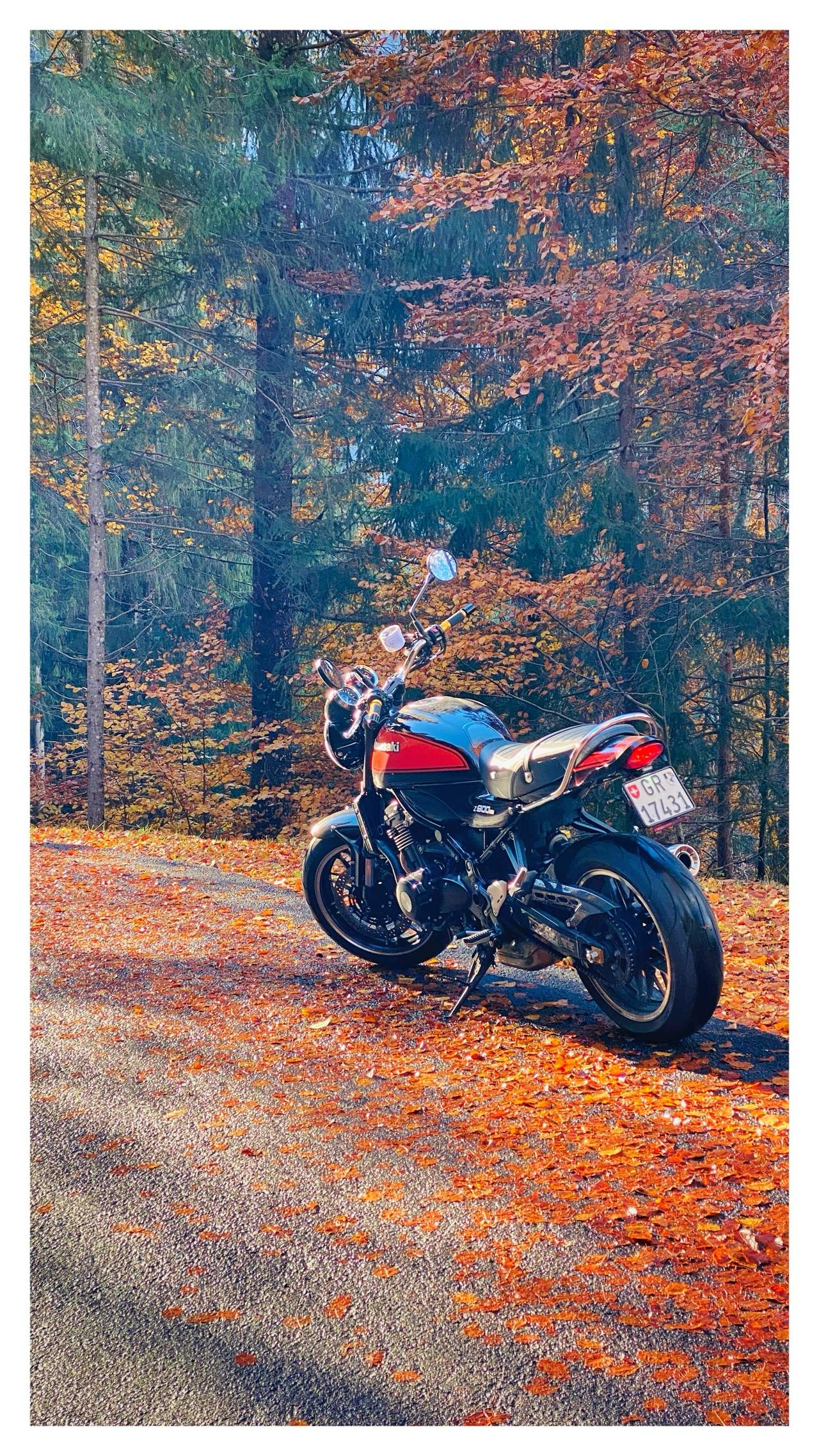 Bild ohne Beschreibung