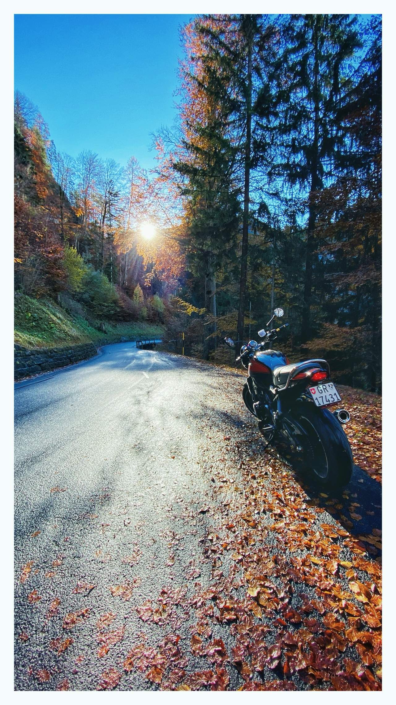 Bild ohne Beschreibung