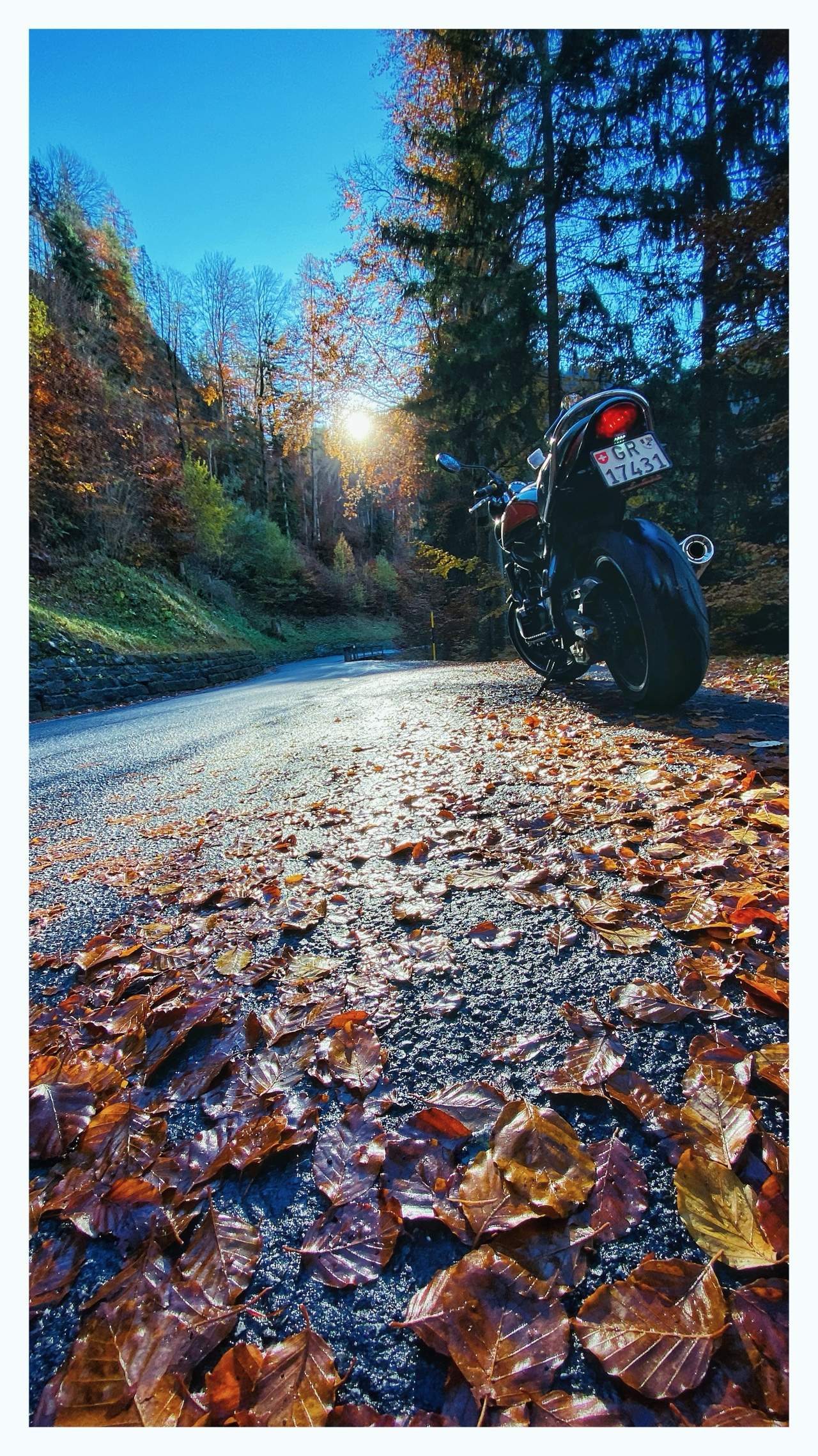 Bild ohne Beschreibung