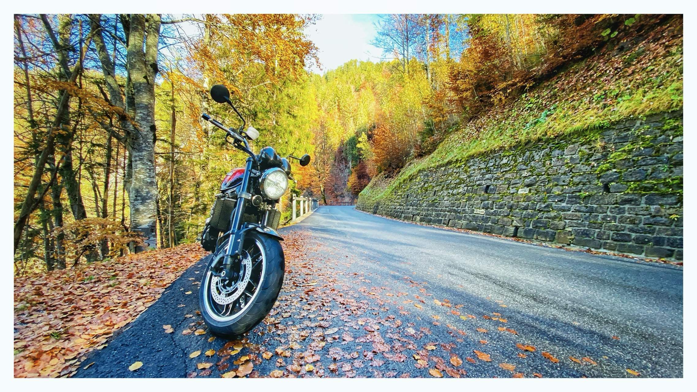 Bild ohne Beschreibung