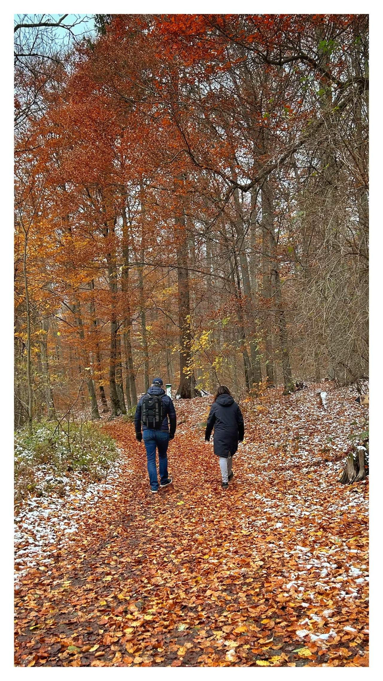 Bild ohne Beschreibung Bild ohne Beschreibung