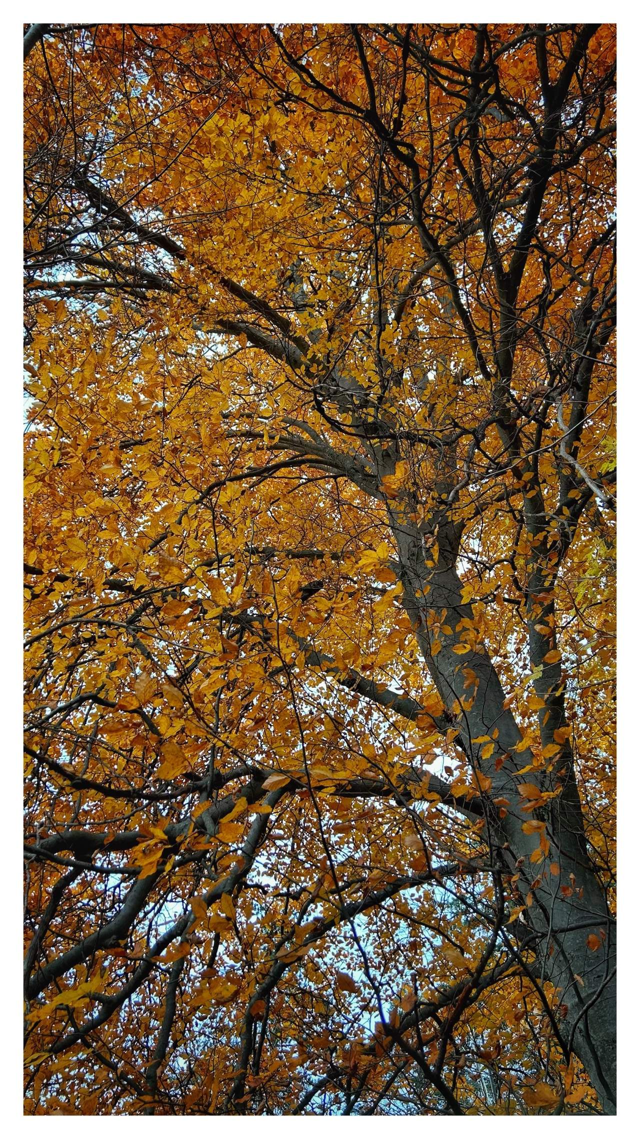 Bild ohne Beschreibung Bild ohne Beschreibung