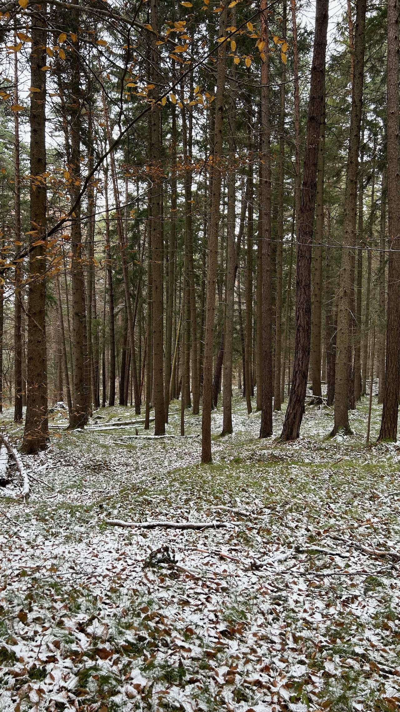 Bild ohne Beschreibung Bild ohne Beschreibung